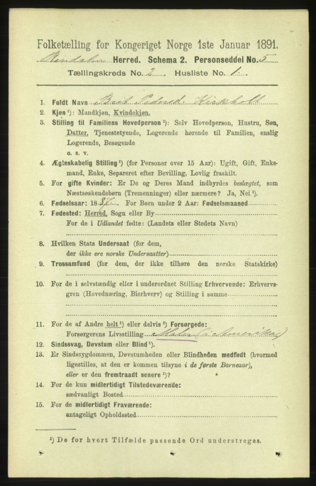 RA, 1891 census for 1567 Rindal, 1891, p. 205