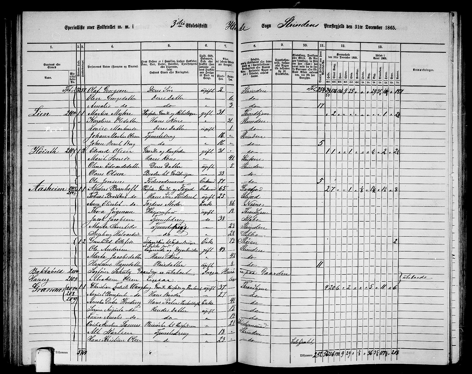 RA, 1865 census for Strinda, 1865, p. 81