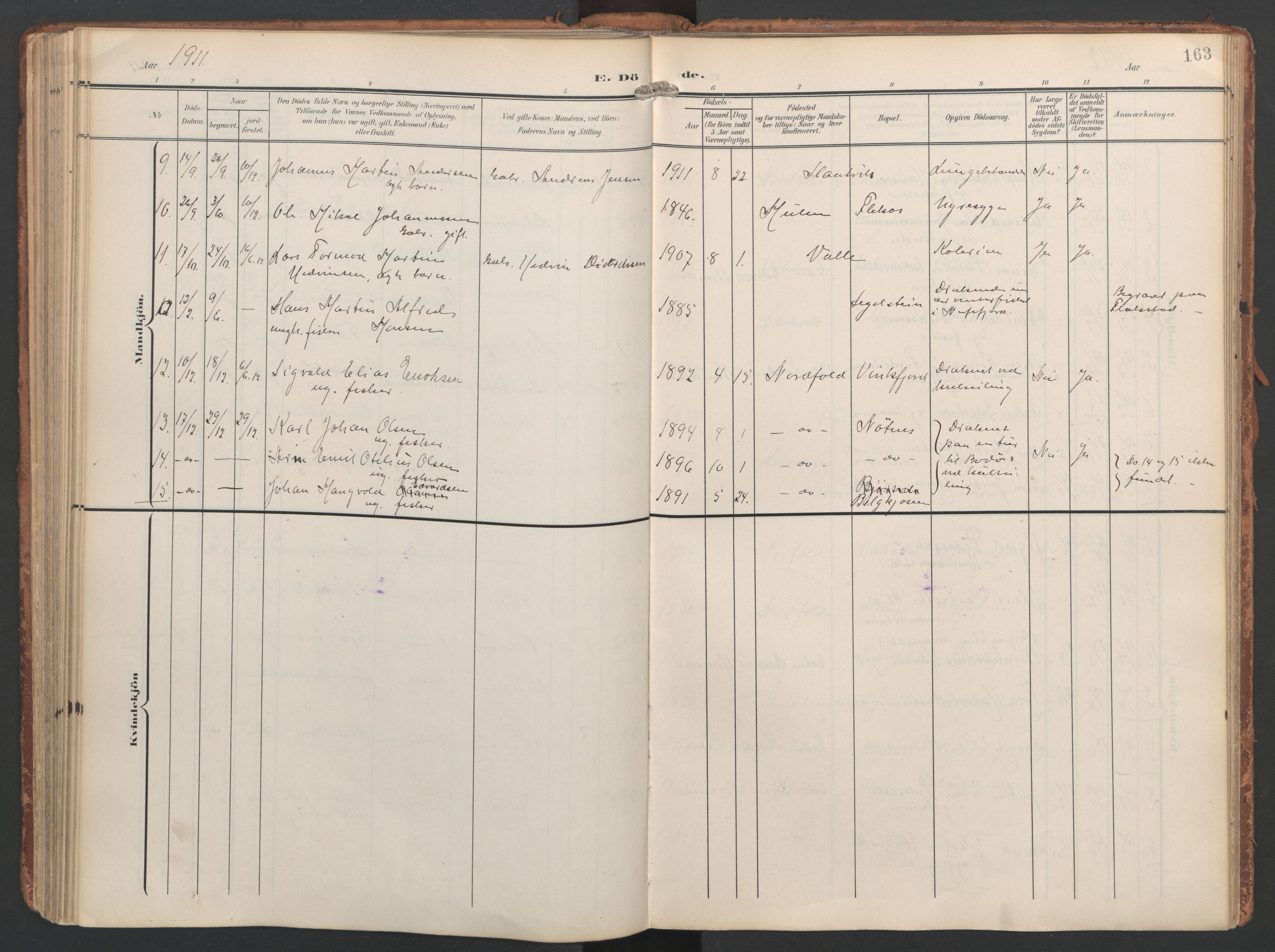 Ministerialprotokoller, klokkerbøker og fødselsregistre - Nordland, AV/SAT-A-1459/858/L0832: Parish register (official) no. 858A02, 1902-1915, p. 163