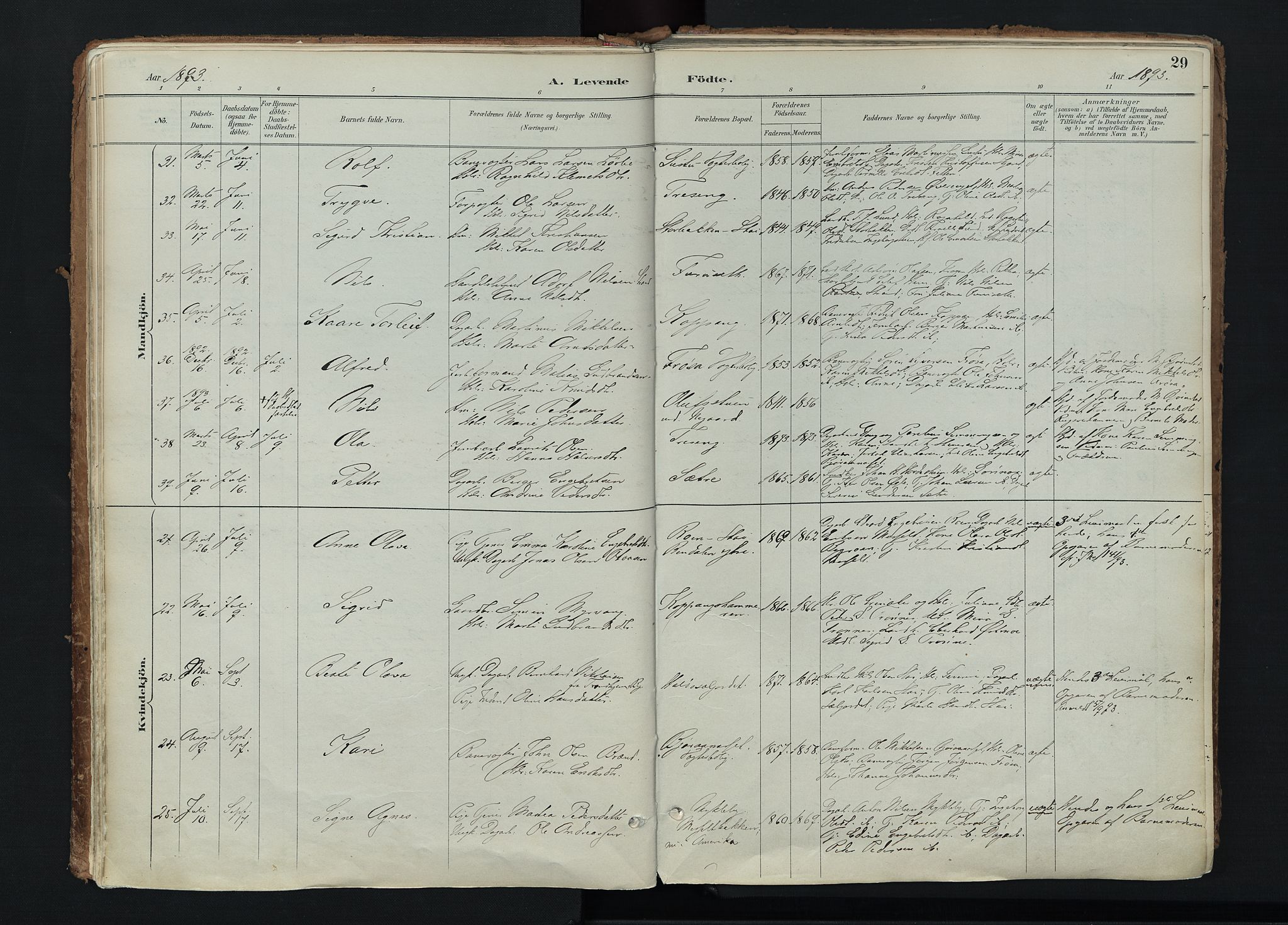 Stor-Elvdal prestekontor, AV/SAH-PREST-052/H/Ha/Haa/L0004: Parish register (official) no. 4, 1890-1922, p. 29