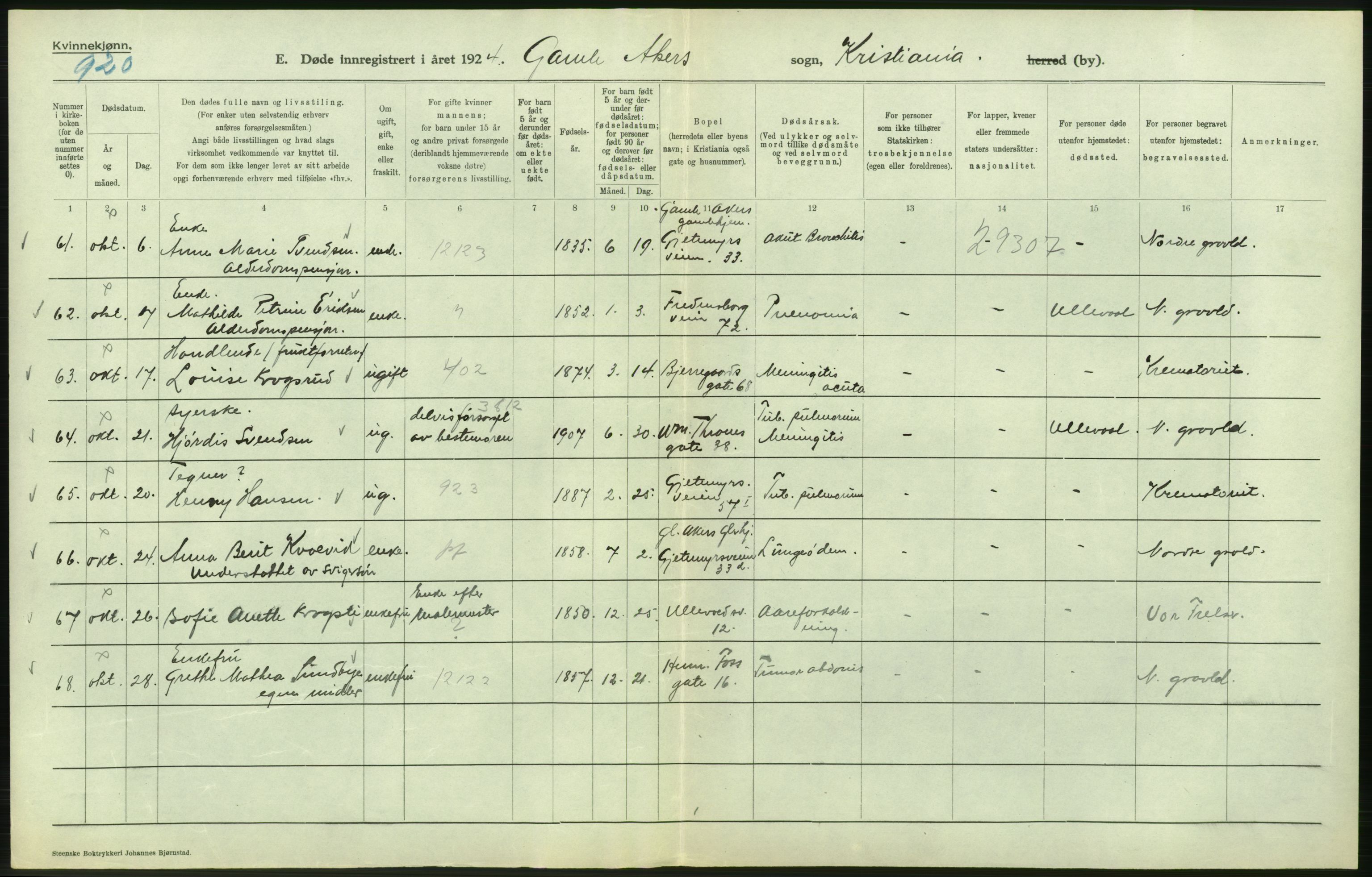 Statistisk sentralbyrå, Sosiodemografiske emner, Befolkning, AV/RA-S-2228/D/Df/Dfc/Dfcd/L0009: Kristiania: Døde kvinner, dødfødte, 1924, p. 214