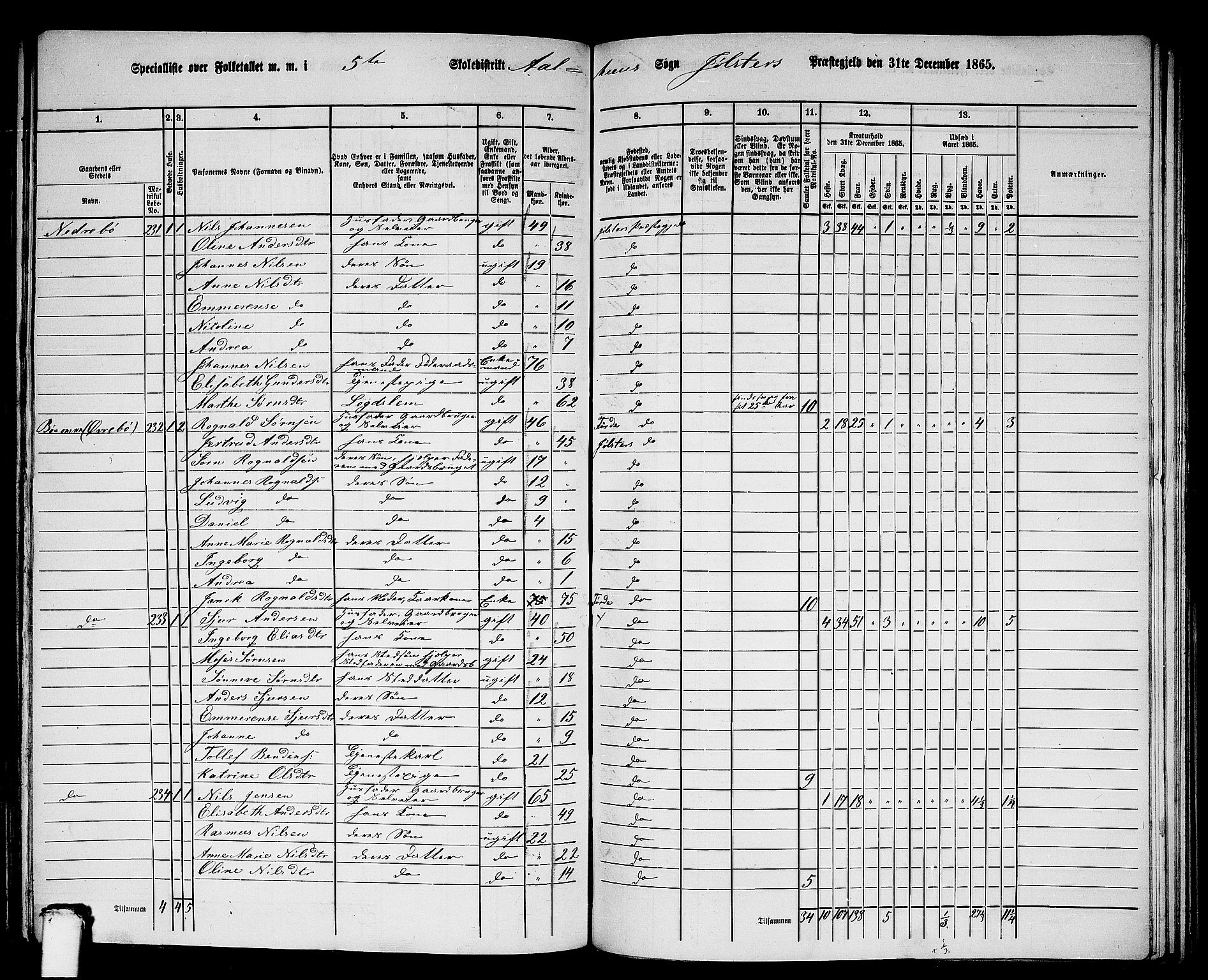 RA, 1865 census for Jølster, 1865, p. 119