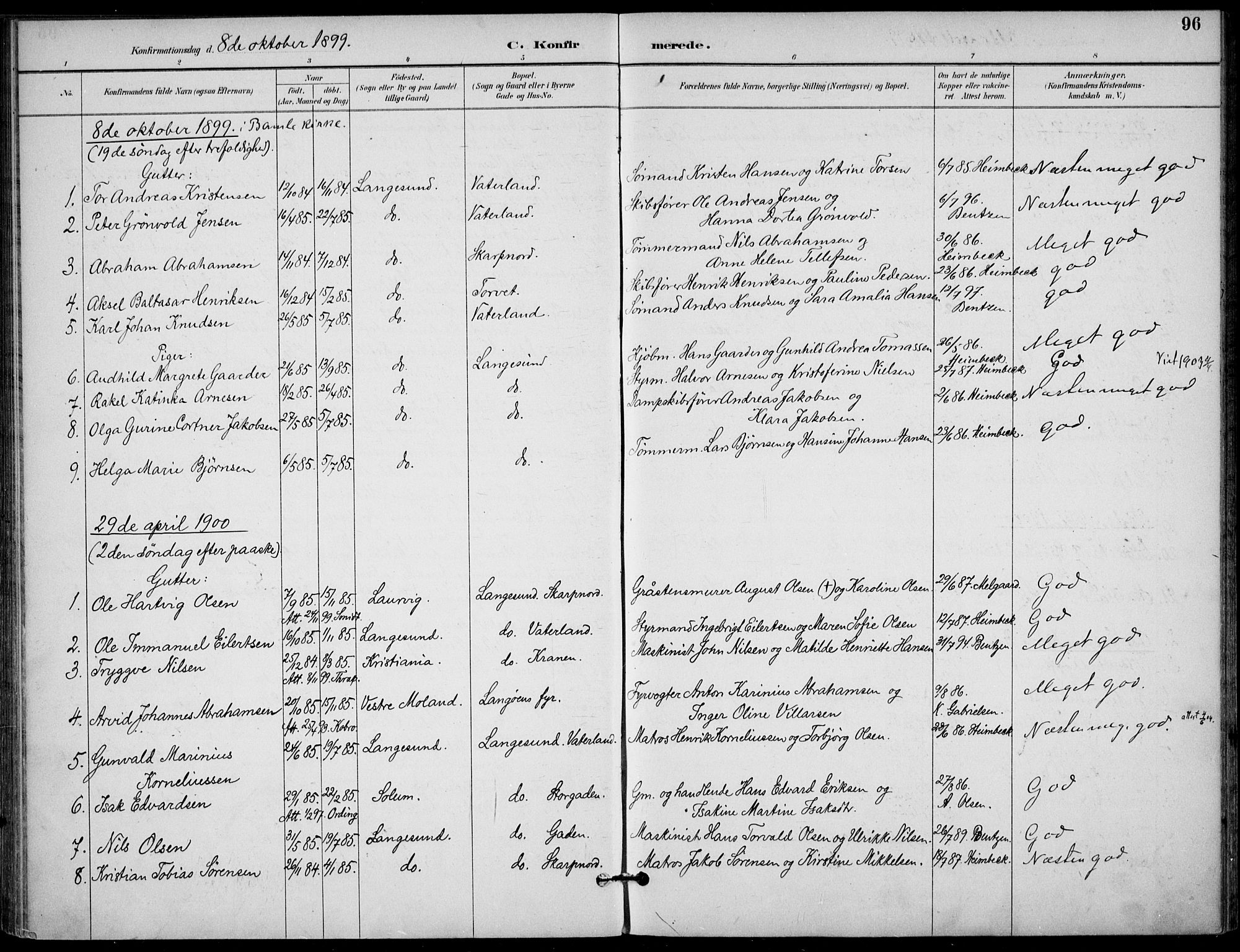 Langesund kirkebøker, SAKO/A-280/F/Fa/L0003: Parish register (official) no. 3, 1893-1907, p. 96