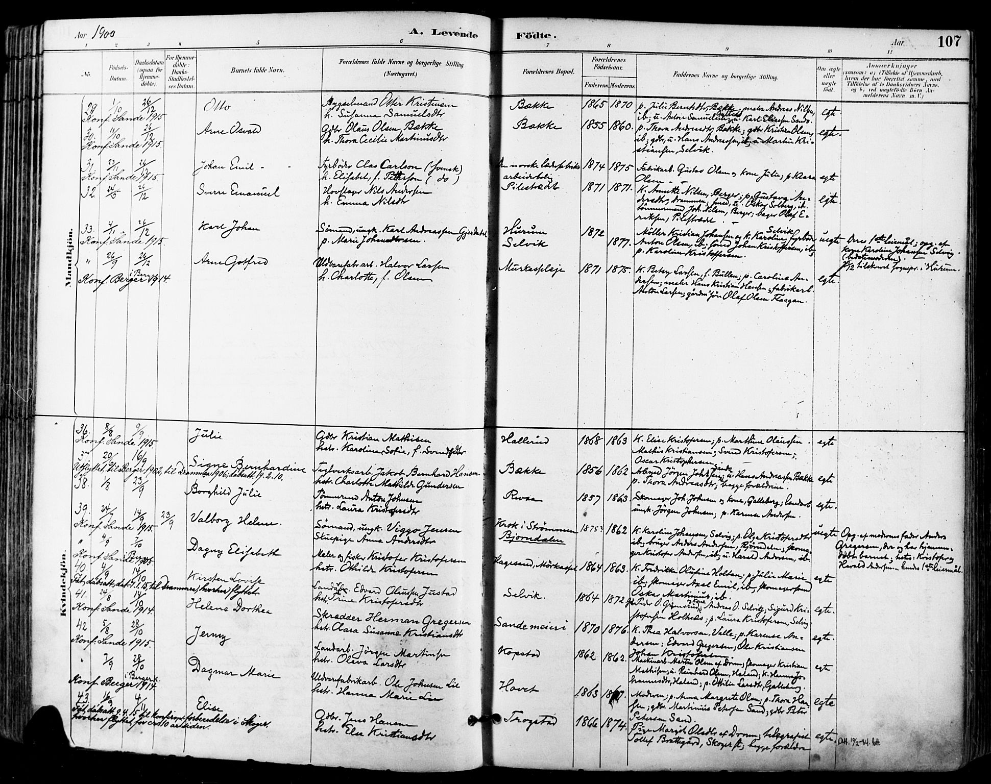 Sande Kirkebøker, AV/SAKO-A-53/F/Fa/L0007: Parish register (official) no. 7, 1888-1903, p. 107