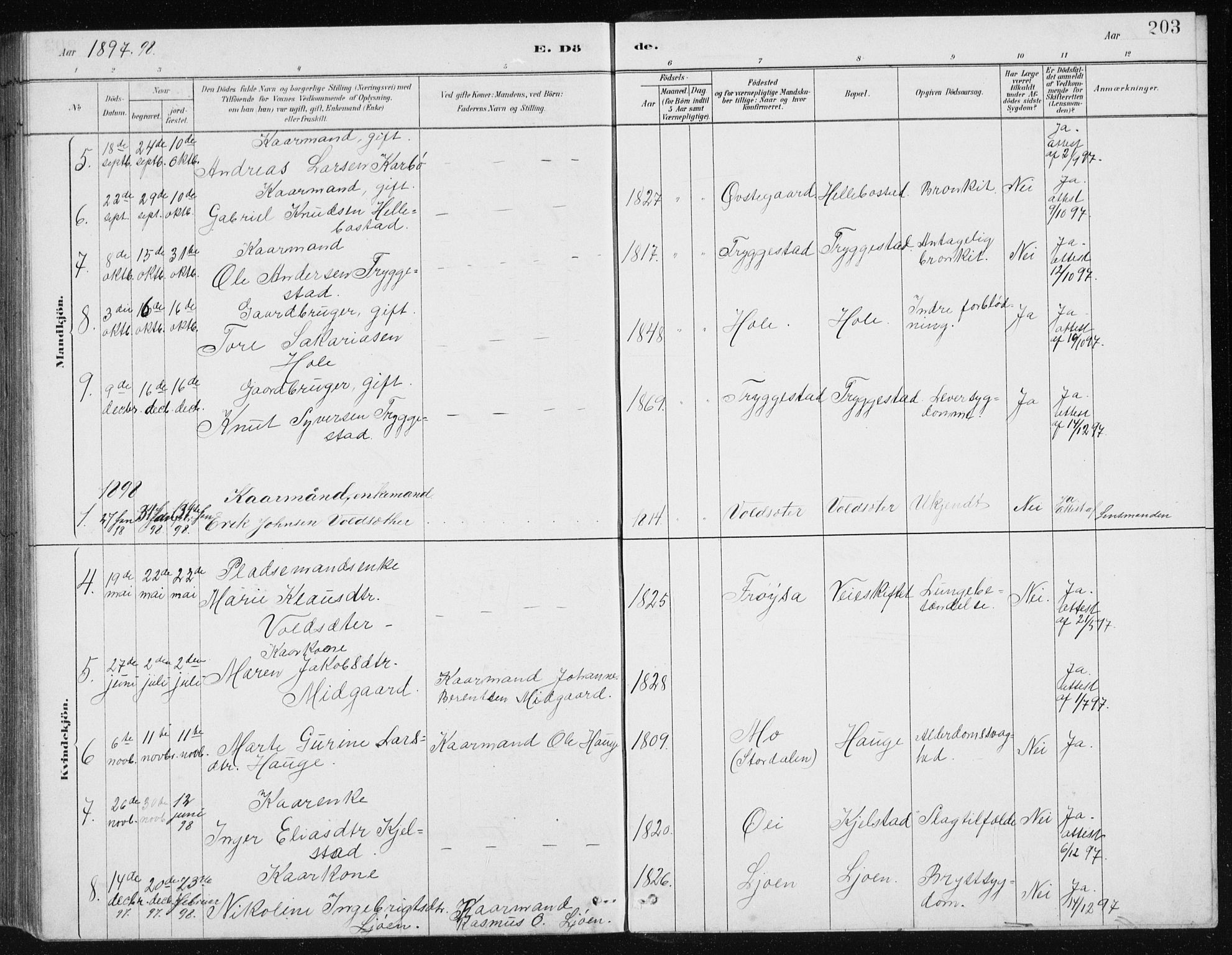 Ministerialprotokoller, klokkerbøker og fødselsregistre - Møre og Romsdal, SAT/A-1454/517/L0230: Parish register (copy) no. 517C03, 1879-1912, p. 203