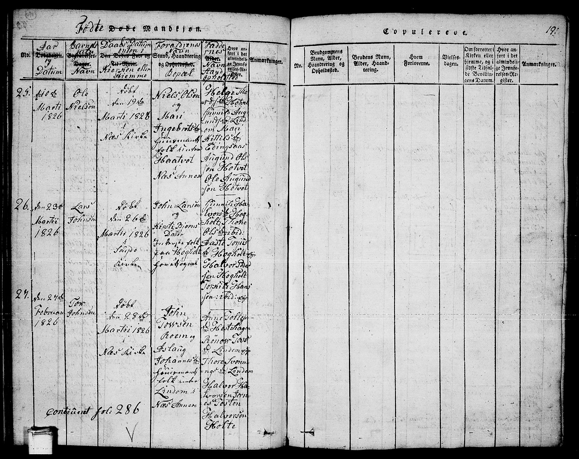 Sauherad kirkebøker, AV/SAKO-A-298/F/Fa/L0005: Parish register (official) no. I 5, 1815-1829, p. 191