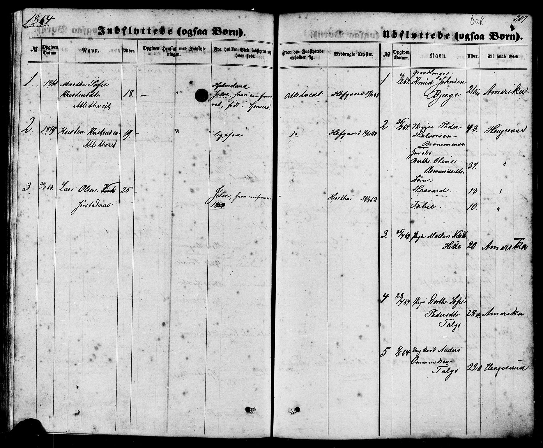 Nedstrand sokneprestkontor, SAST/A-101841/01/IV: Parish register (official) no. A 10, 1861-1887, p. 207