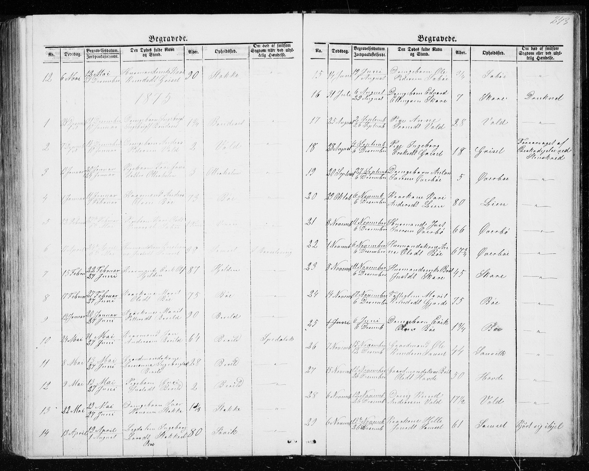 Ministerialprotokoller, klokkerbøker og fødselsregistre - Møre og Romsdal, SAT/A-1454/543/L0564: Parish register (copy) no. 543C02, 1867-1915, p. 243