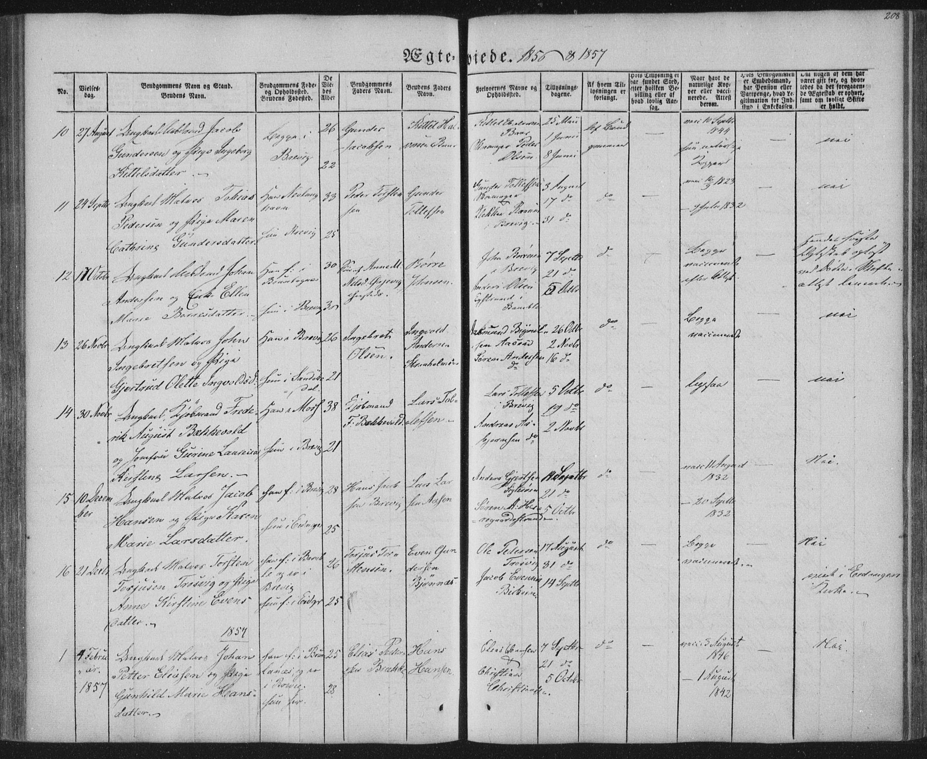 Brevik kirkebøker, SAKO/A-255/F/Fa/L0005: Parish register (official) no. 5, 1847-1865, p. 208