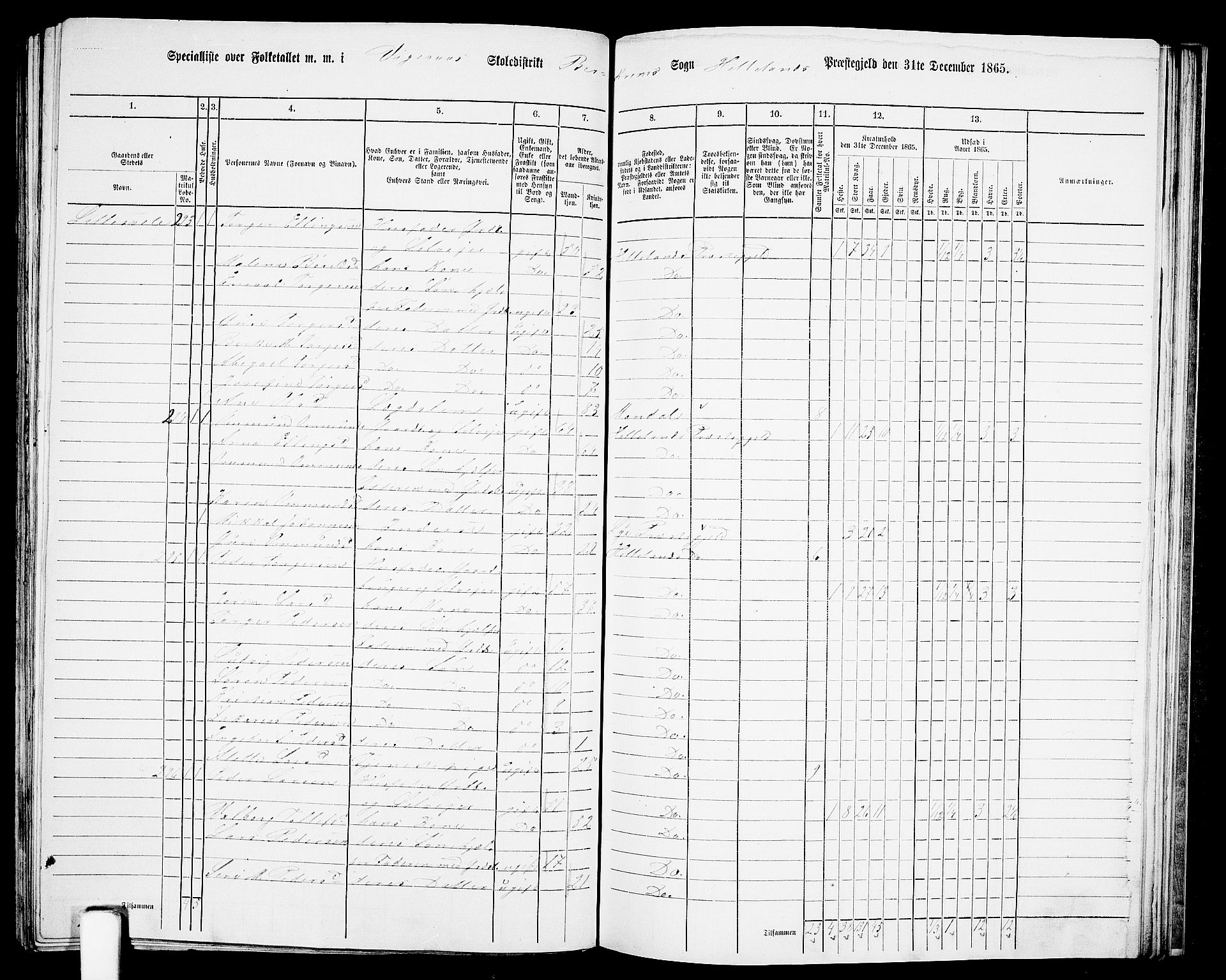 RA, 1865 census for Helleland, 1865, p. 115