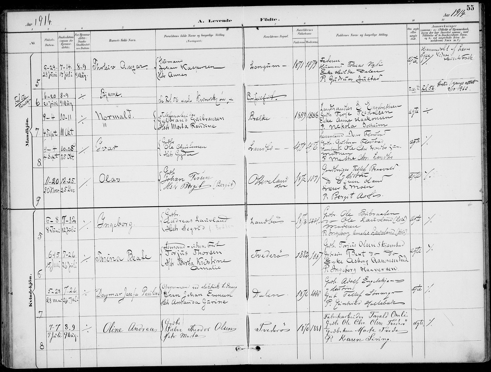 Austre Moland sokneprestkontor, SAK/1111-0001/F/Fa/Faa/L0011: Parish register (official) no. A 11, 1894-1915, p. 55