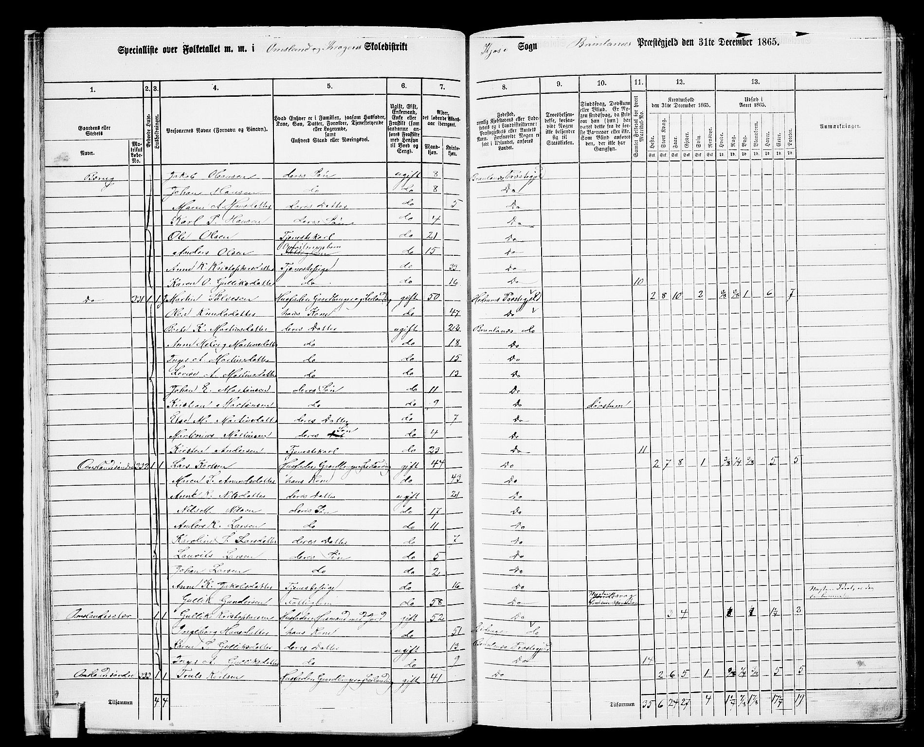 RA, 1865 census for Brunlanes, 1865, p. 24