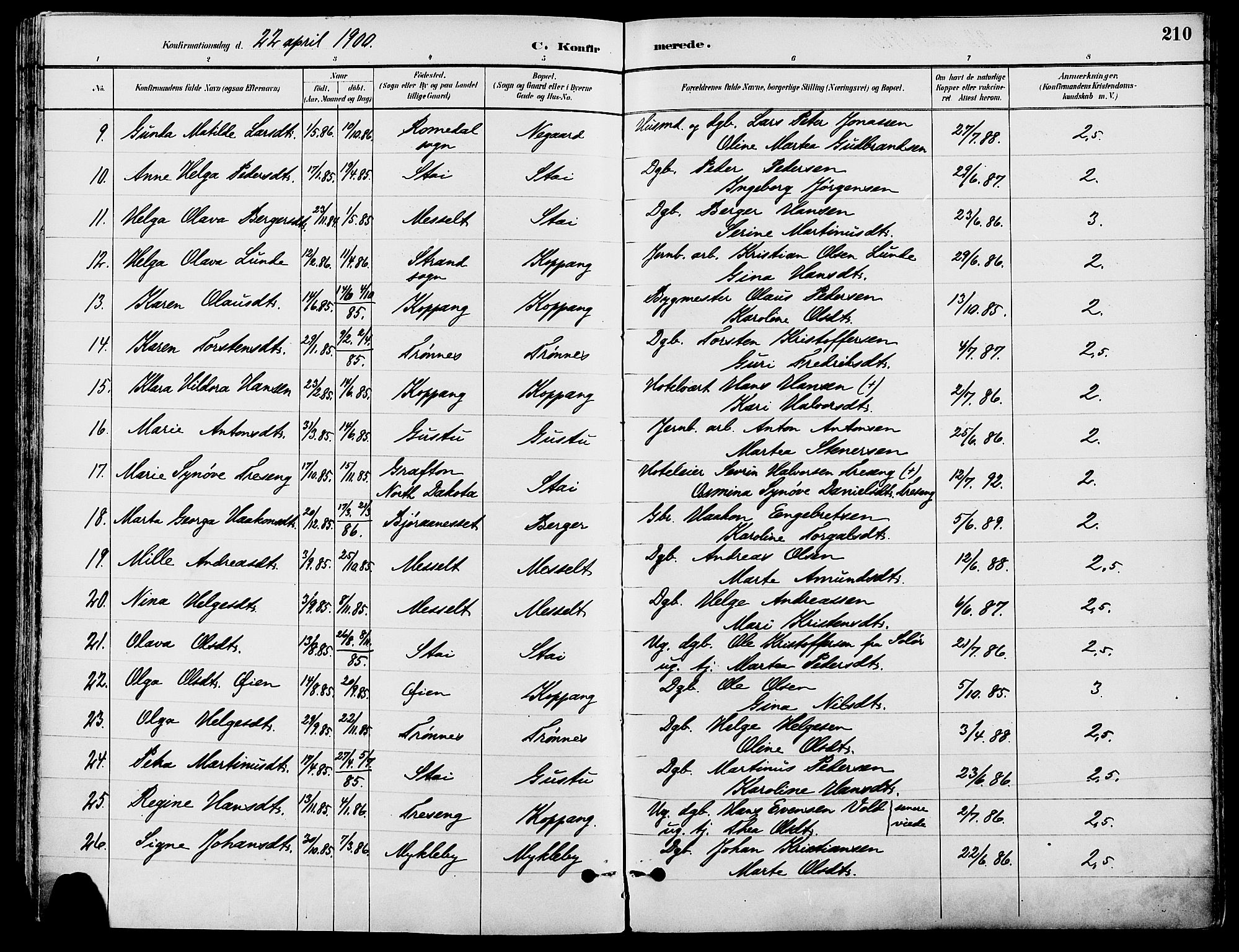 Stor-Elvdal prestekontor, SAH/PREST-052/H/Ha/Haa/L0002: Parish register (official) no. 2, 1882-1907, p. 210