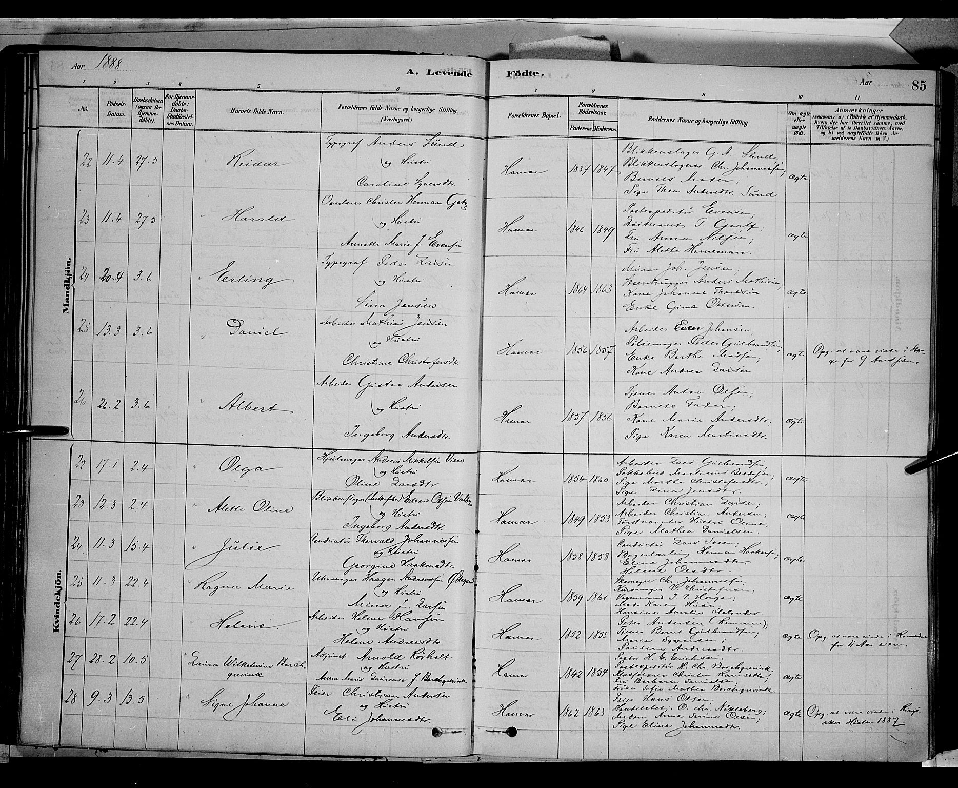 Vang prestekontor, Hedmark, AV/SAH-PREST-008/H/Ha/Haa/L0016: Parish register (official) no. 16, 1878-1889, p. 85