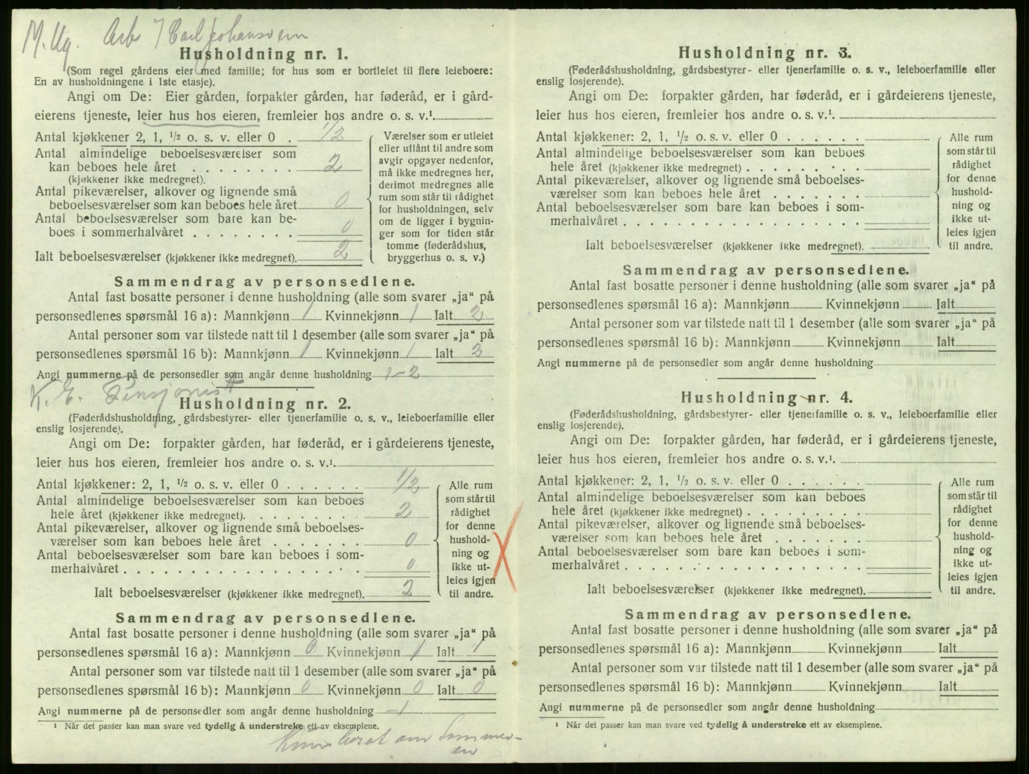 SAKO, 1920 census for Borre, 1920, p. 808