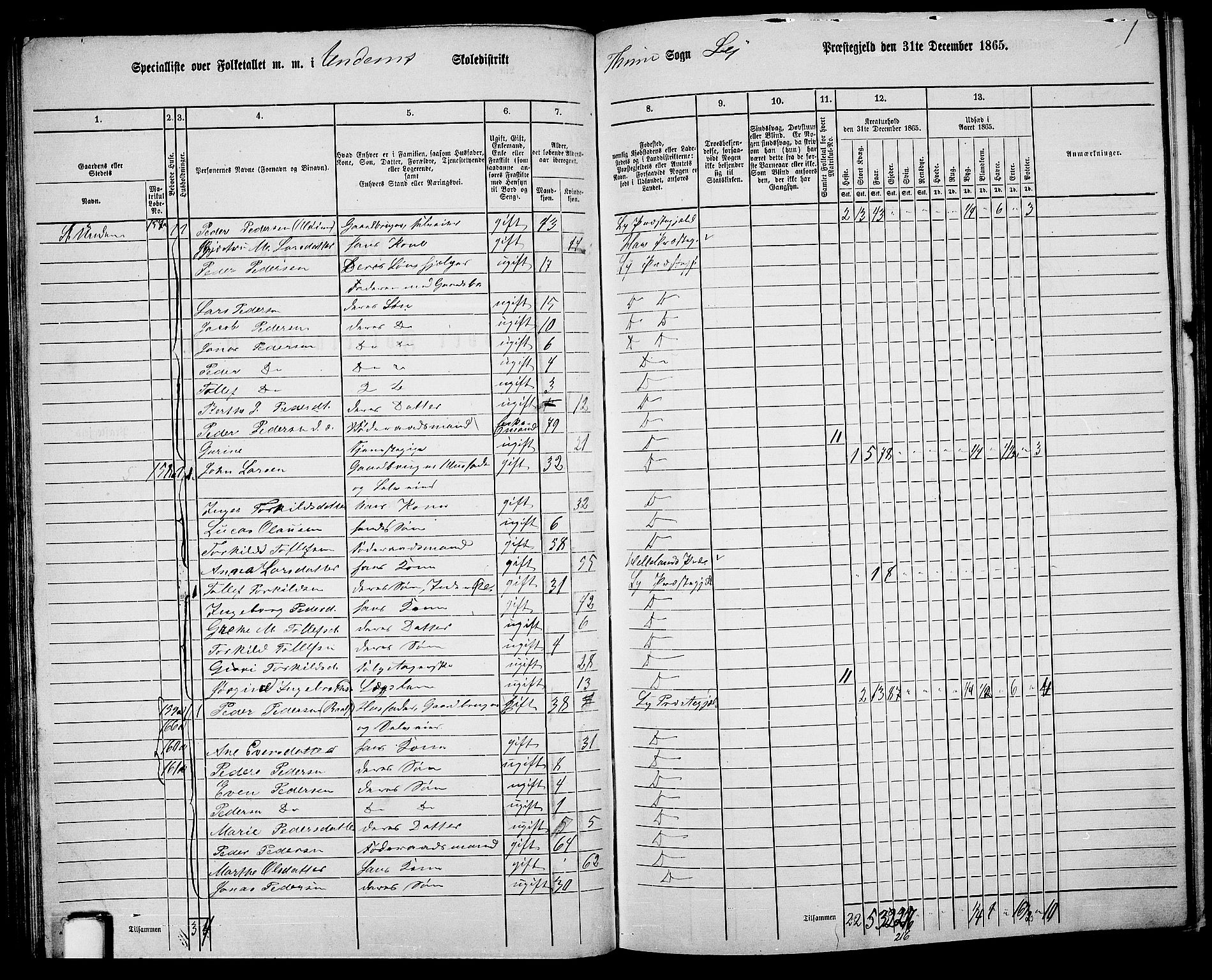 RA, 1865 census for Lye, 1865, p. 65