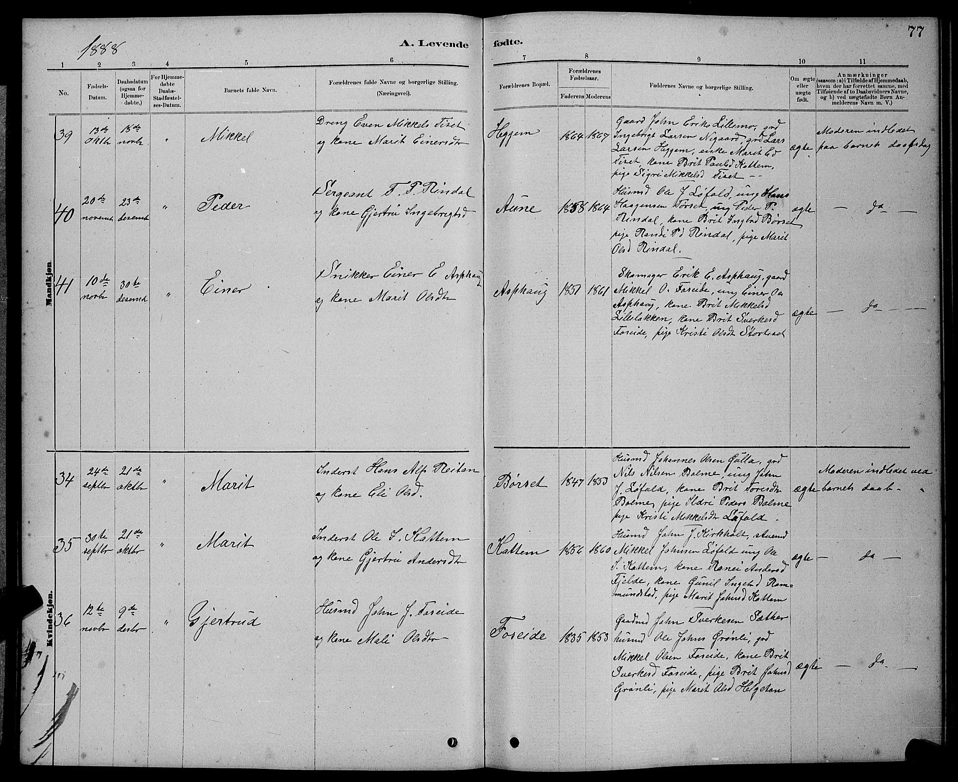 Ministerialprotokoller, klokkerbøker og fødselsregistre - Møre og Romsdal, AV/SAT-A-1454/598/L1077: Parish register (copy) no. 598C02, 1879-1891, p. 77