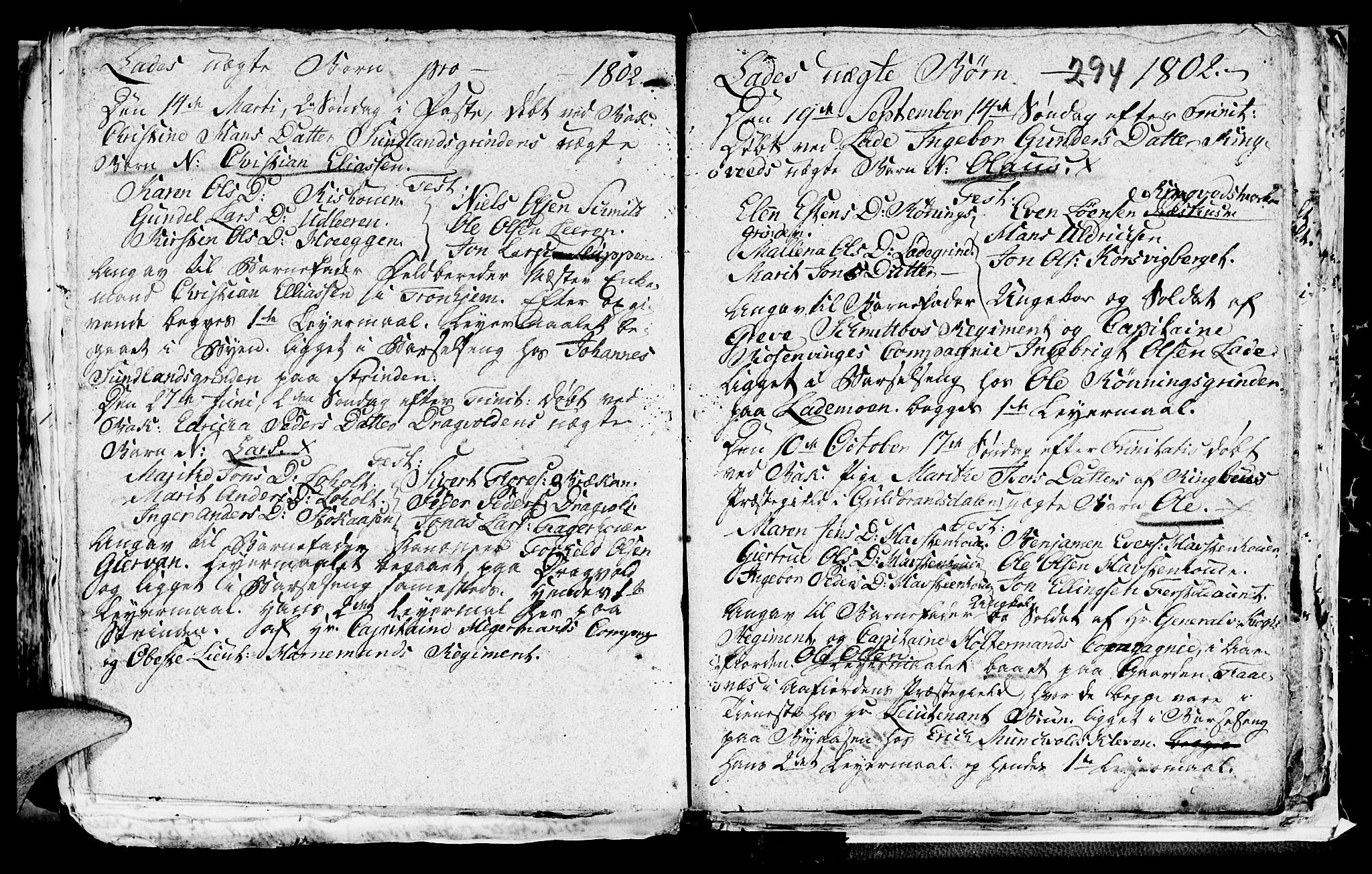 Ministerialprotokoller, klokkerbøker og fødselsregistre - Sør-Trøndelag, SAT/A-1456/606/L0305: Parish register (copy) no. 606C01, 1757-1819, p. 294