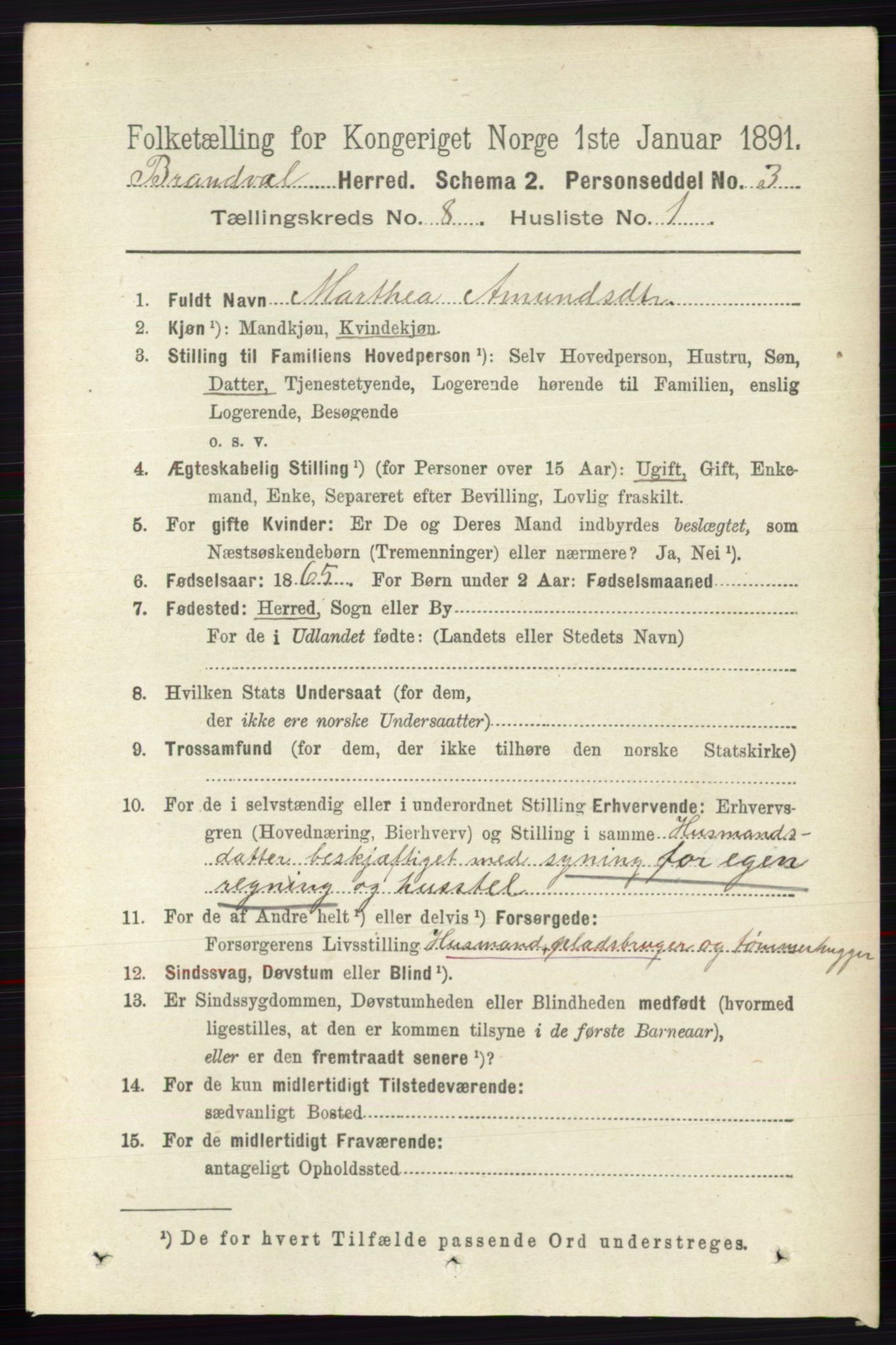 RA, 1891 census for 0422 Brandval, 1891, p. 3837