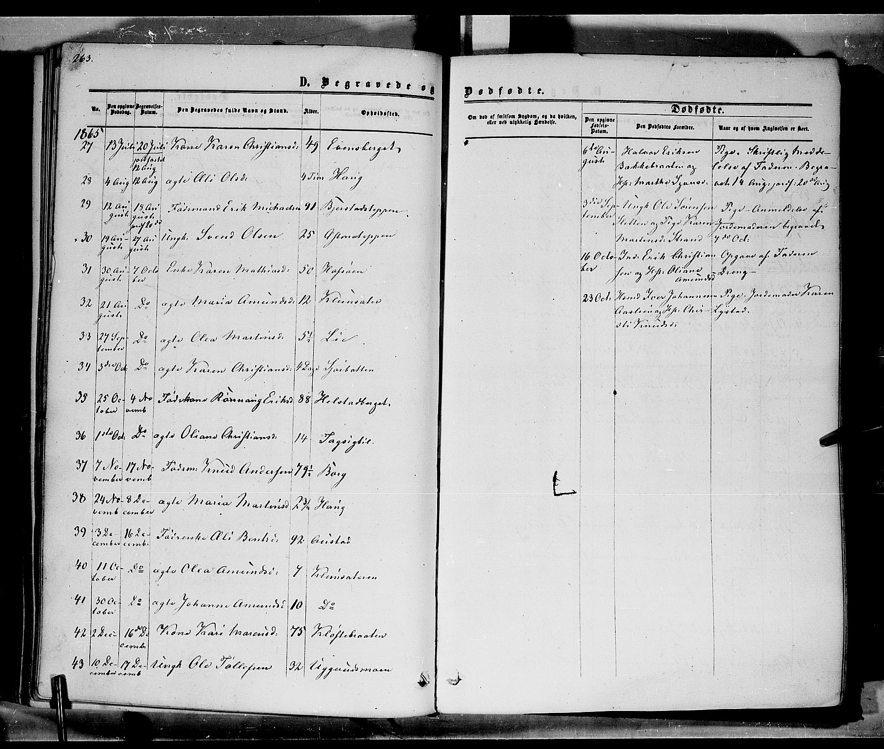 Hof prestekontor, SAH/PREST-038/H/Ha/Haa/L0009: Parish register (official) no. 9, 1862-1877, p. 263