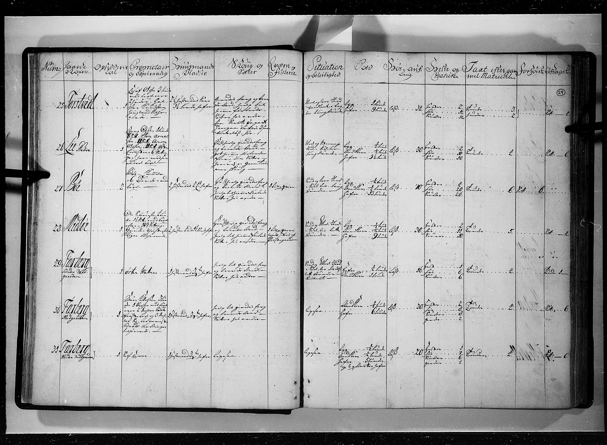 Rentekammeret inntil 1814, Realistisk ordnet avdeling, AV/RA-EA-4070/N/Nb/Nbf/L0121: Øvre og Nedre Telemark eksaminasjonsprotokoll, 1723, p. 28b-29a