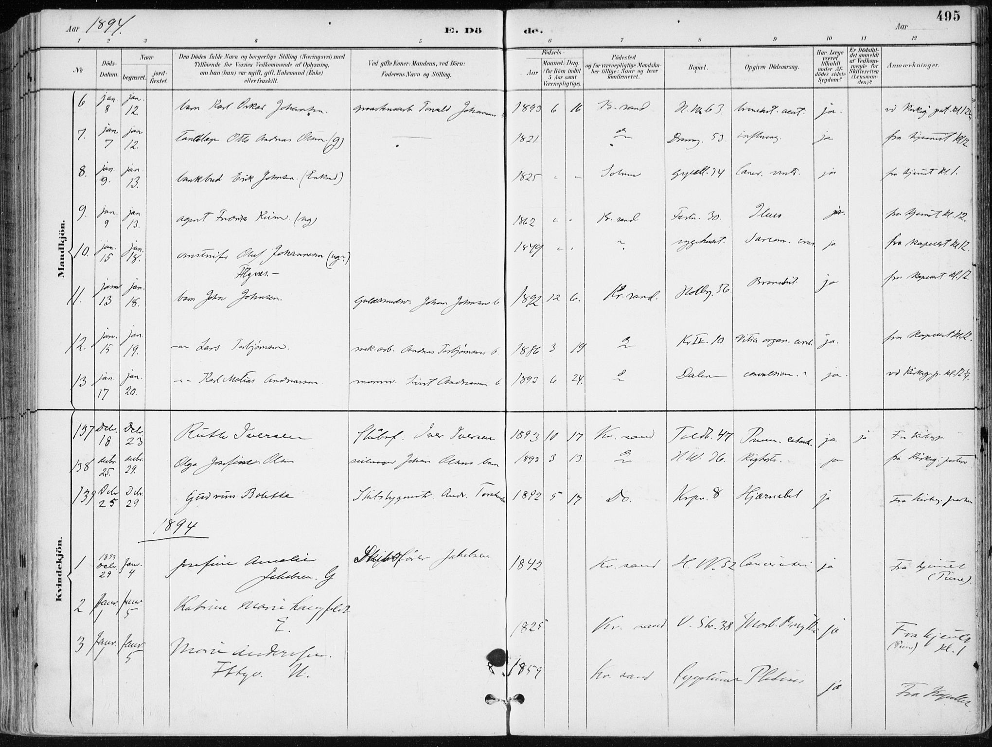 Kristiansand domprosti, SAK/1112-0006/F/Fa/L0019: Parish register (official) no. A 18, 1890-1897, p. 495