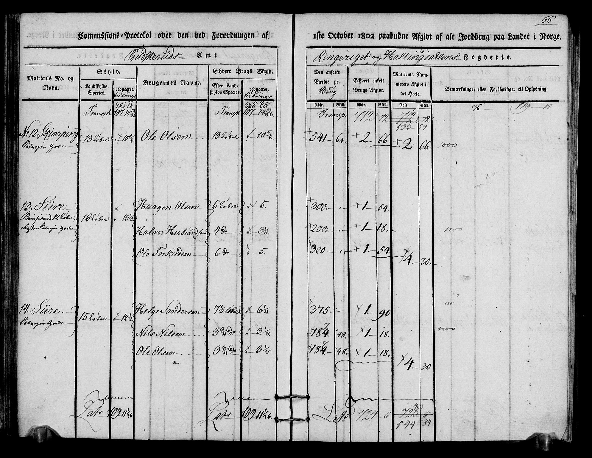 Rentekammeret inntil 1814, Realistisk ordnet avdeling, RA/EA-4070/N/Ne/Nea/L0048: Ringerike og Hallingdal fogderi. Kommisjonsprotokoll for Ål prestegjeld, 1803, p. 70