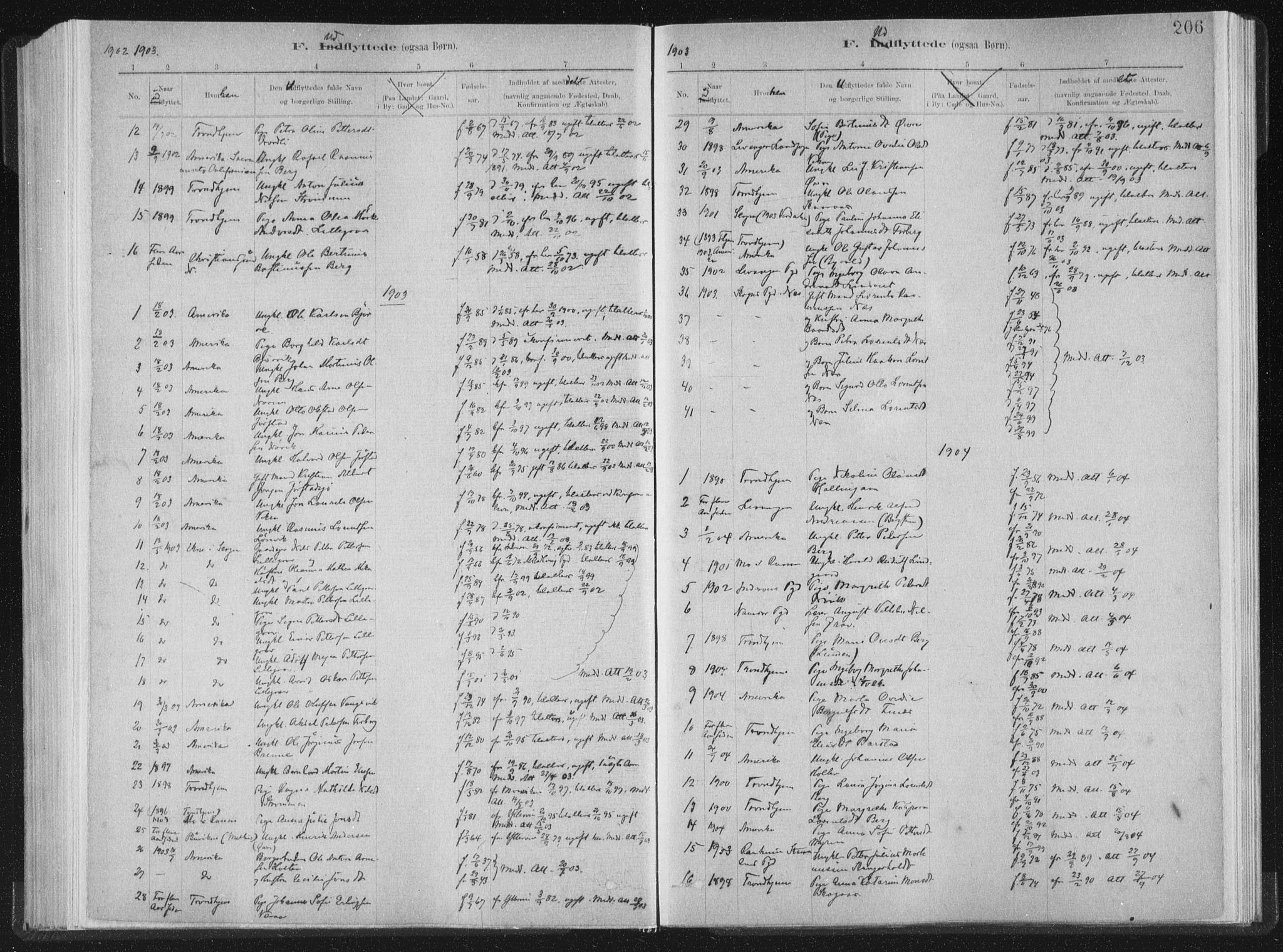 Ministerialprotokoller, klokkerbøker og fødselsregistre - Nord-Trøndelag, AV/SAT-A-1458/722/L0220: Parish register (official) no. 722A07, 1881-1908, p. 206