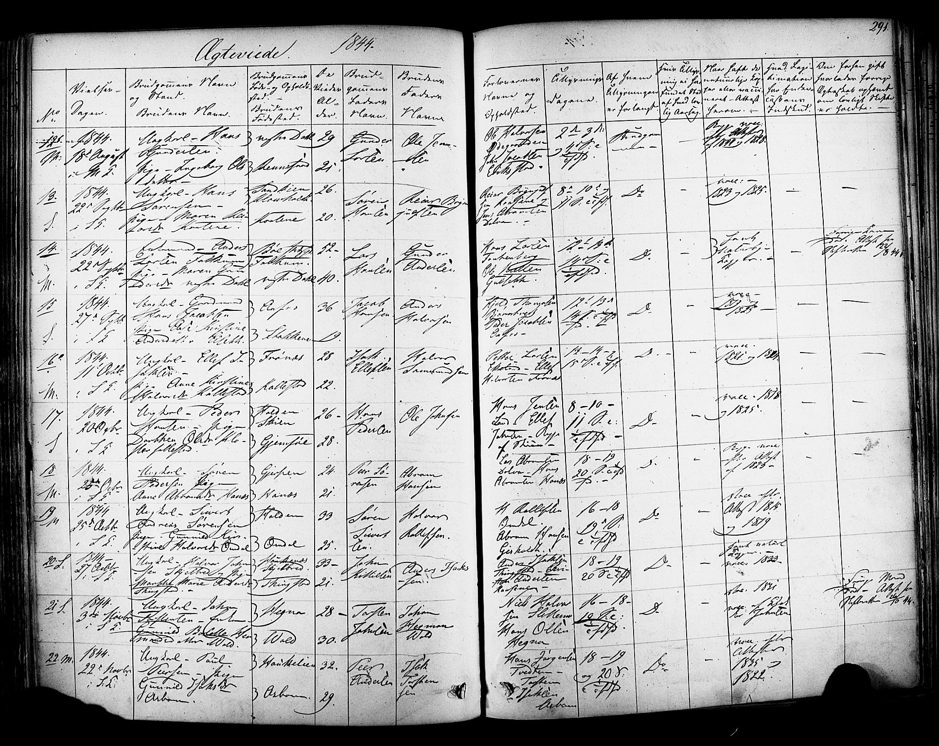 Solum kirkebøker, SAKO/A-306/F/Fa/L0006: Parish register (official) no. I 6, 1844-1855, p. 291