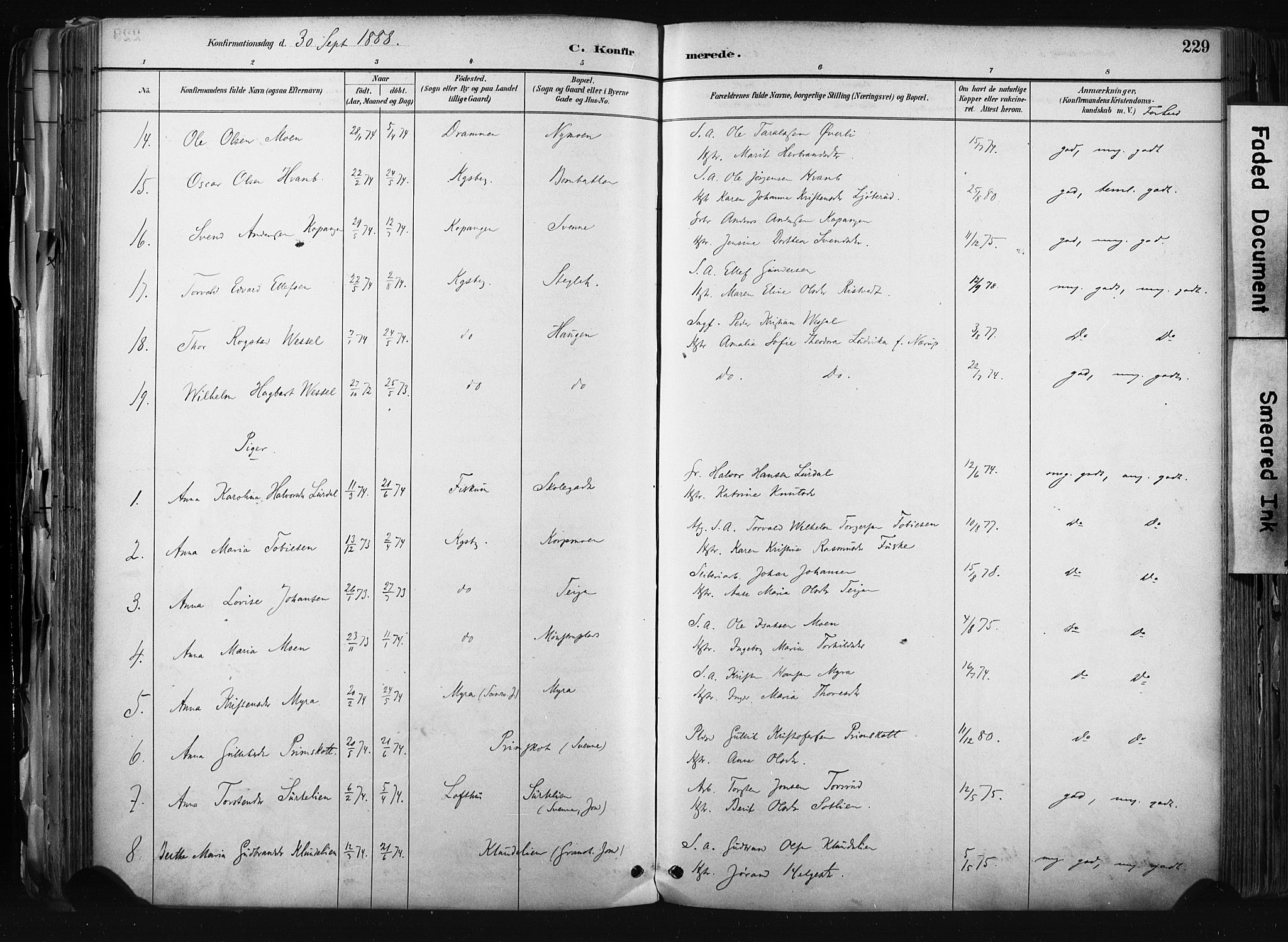 Kongsberg kirkebøker, AV/SAKO-A-22/F/Fb/L0002: Parish register (official) no. II 2, 1886-1896, p. 229