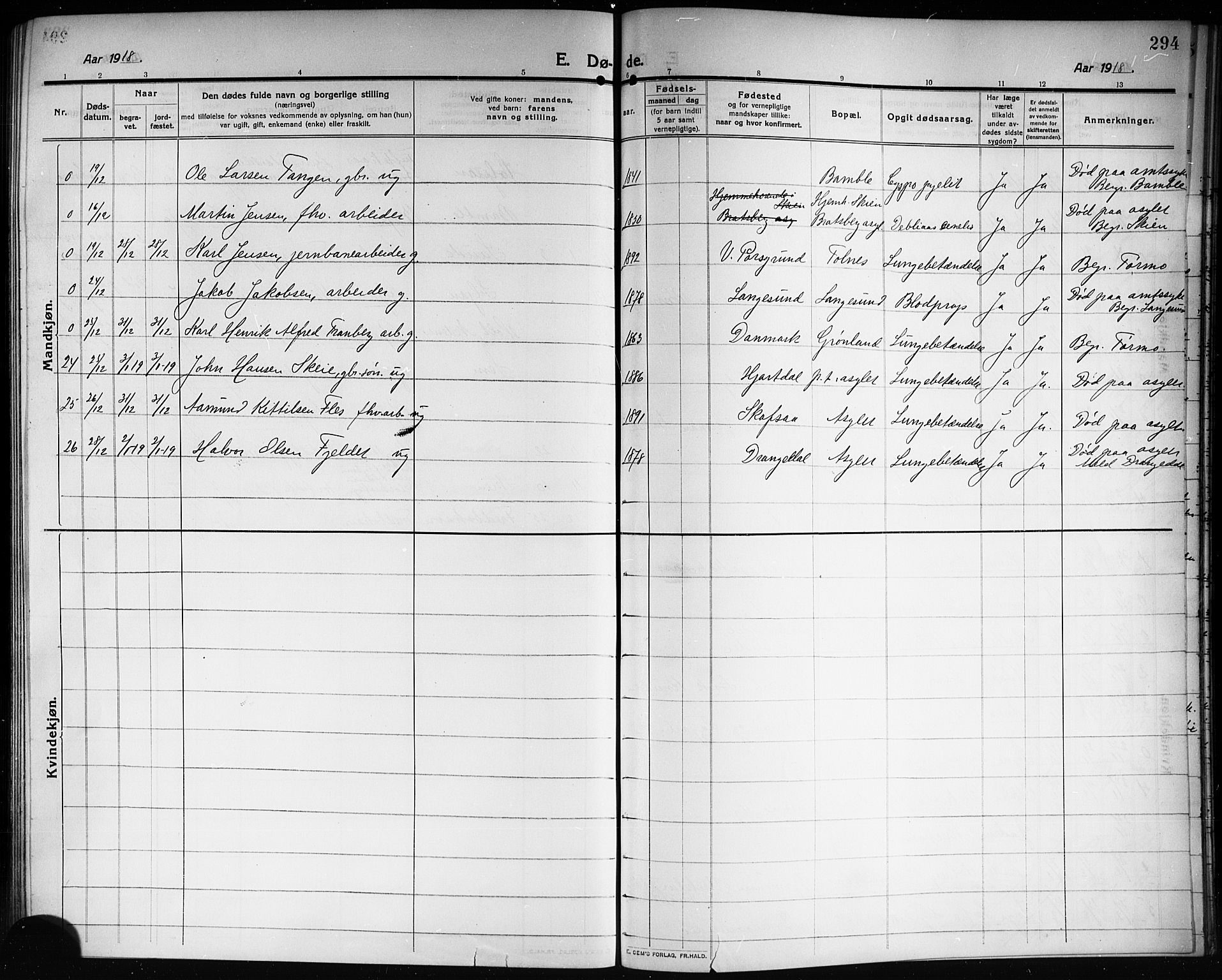 Solum kirkebøker, SAKO/A-306/G/Ga/L0009: Parish register (copy) no. I 9, 1909-1922, p. 294