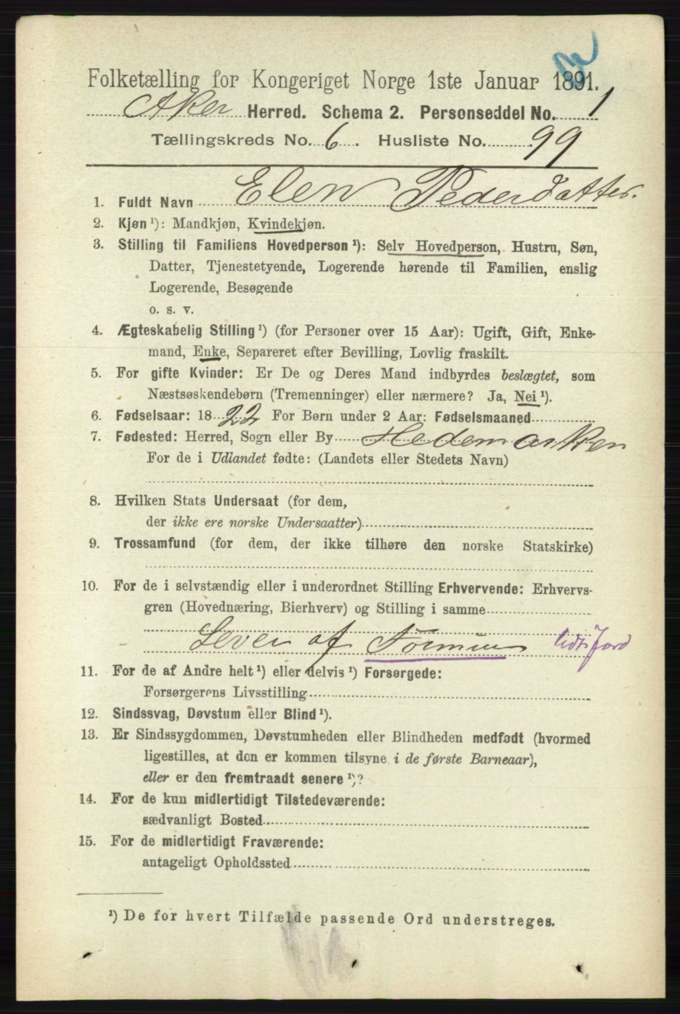 RA, 1891 census for 0218 Aker, 1891, p. 6131