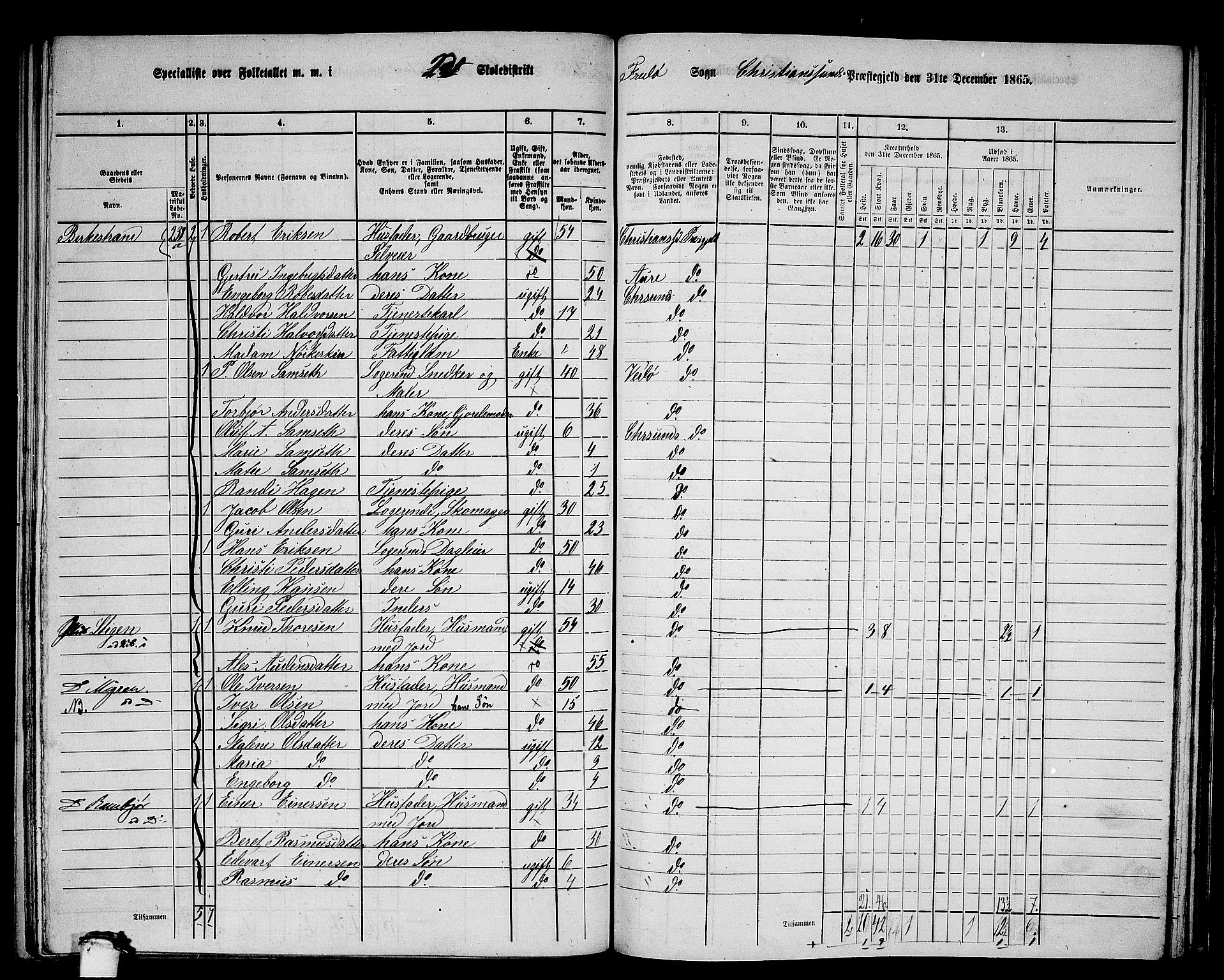 RA, 1865 census for Kristiansund/Frei og Grip, 1865, p. 29