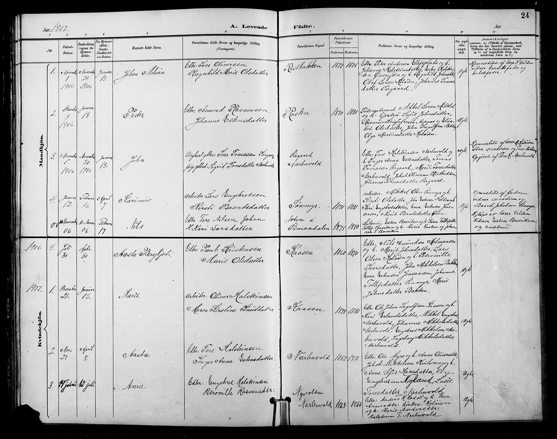 Tolga prestekontor, AV/SAH-PREST-062/L/L0011: Parish register (copy) no. 11, 1894-1925, p. 24