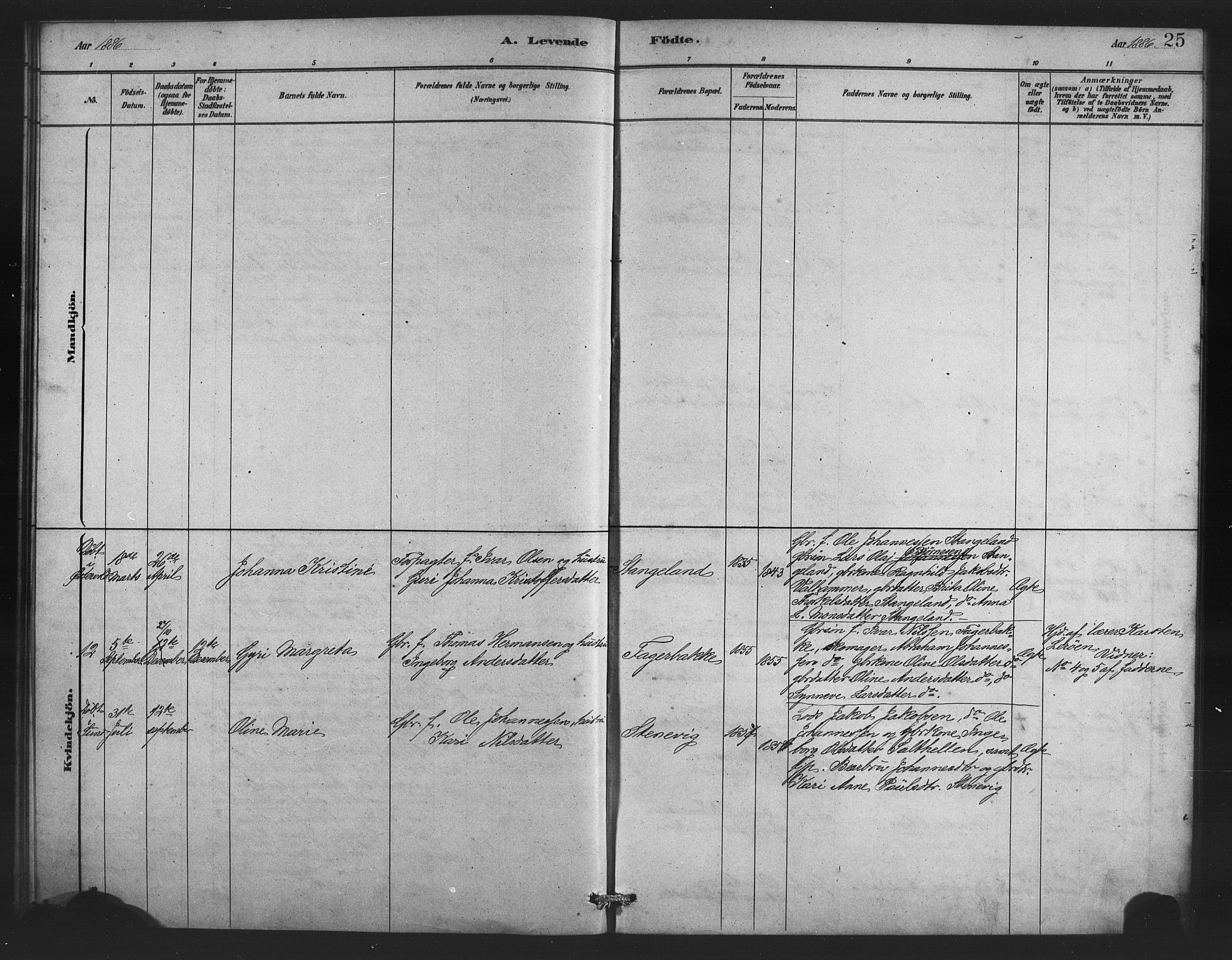 Austevoll Sokneprestembete, SAB/A-74201/H/Hab: Parish register (copy) no. B 3, 1879-1888, p. 25