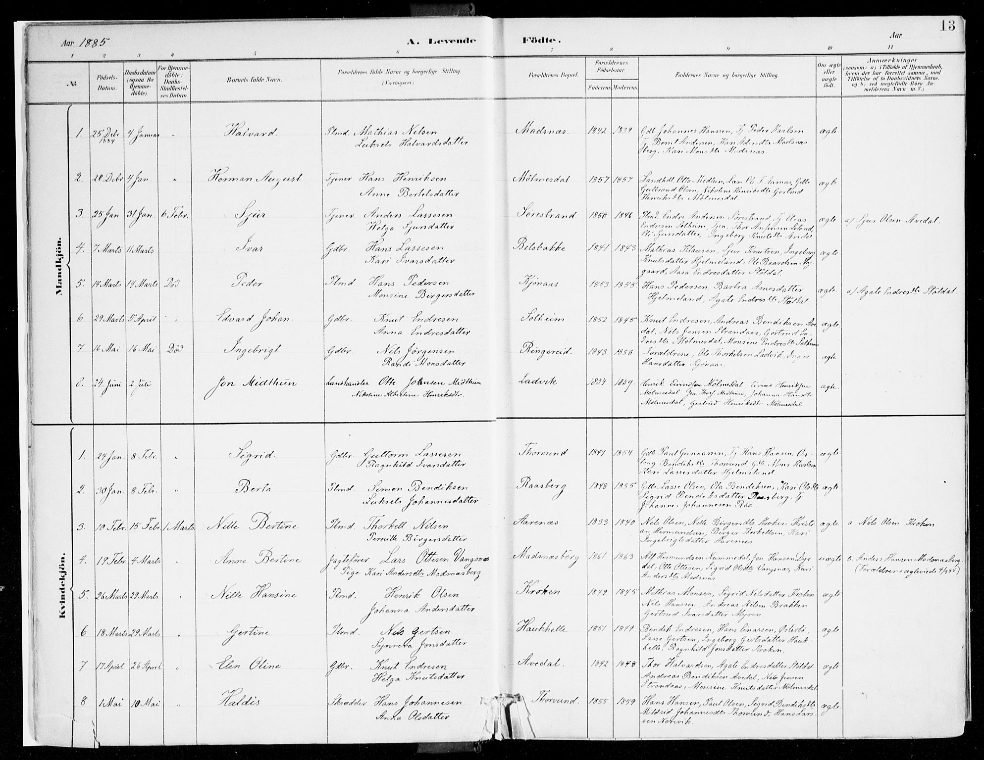 Lavik sokneprestembete, AV/SAB-A-80901: Parish register (official) no. B 1, 1882-1908, p. 13