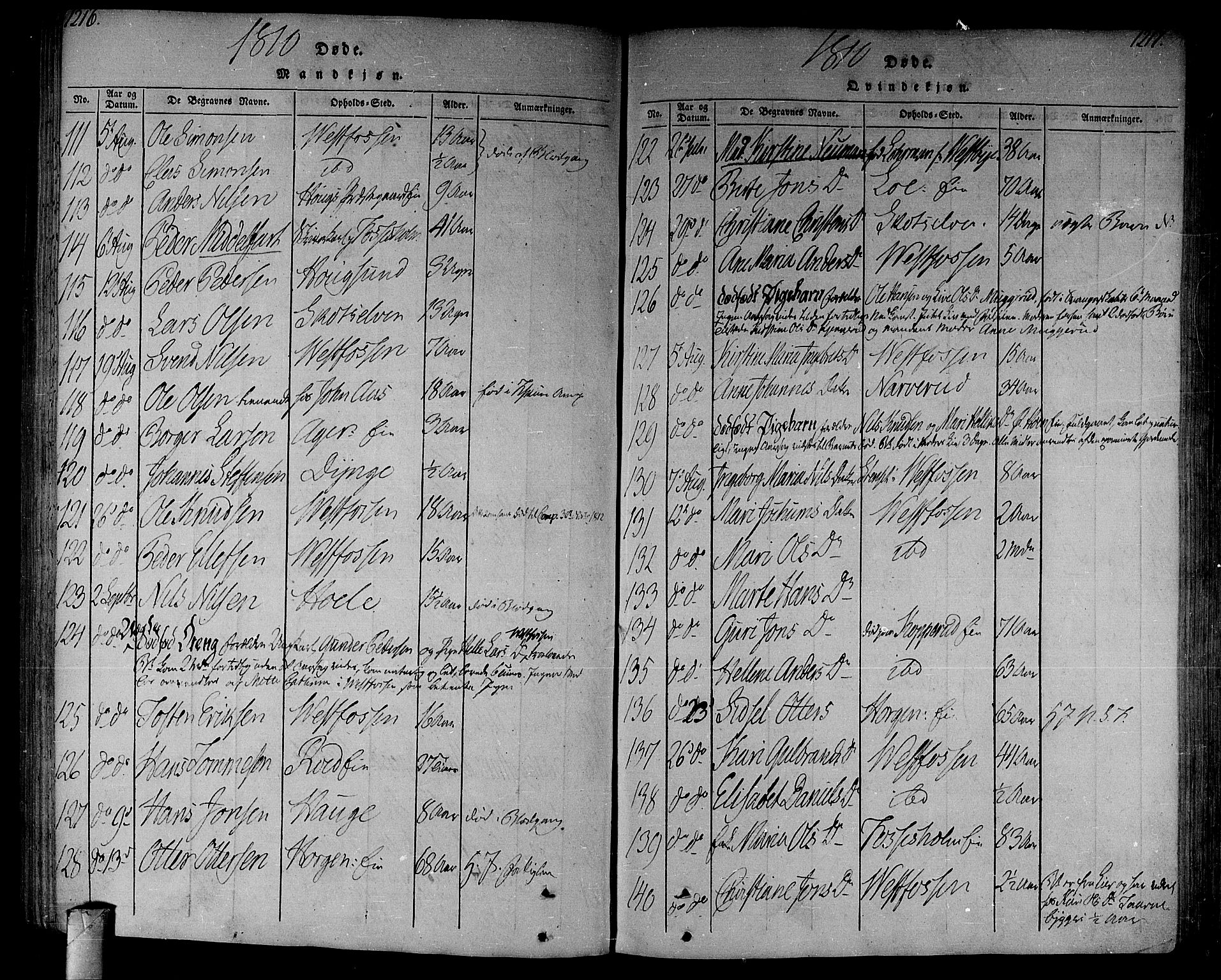 Eiker kirkebøker, SAKO/A-4/F/Fa/L0010: Parish register (official) no. I 10, 1806-1815, p. 1216-1217