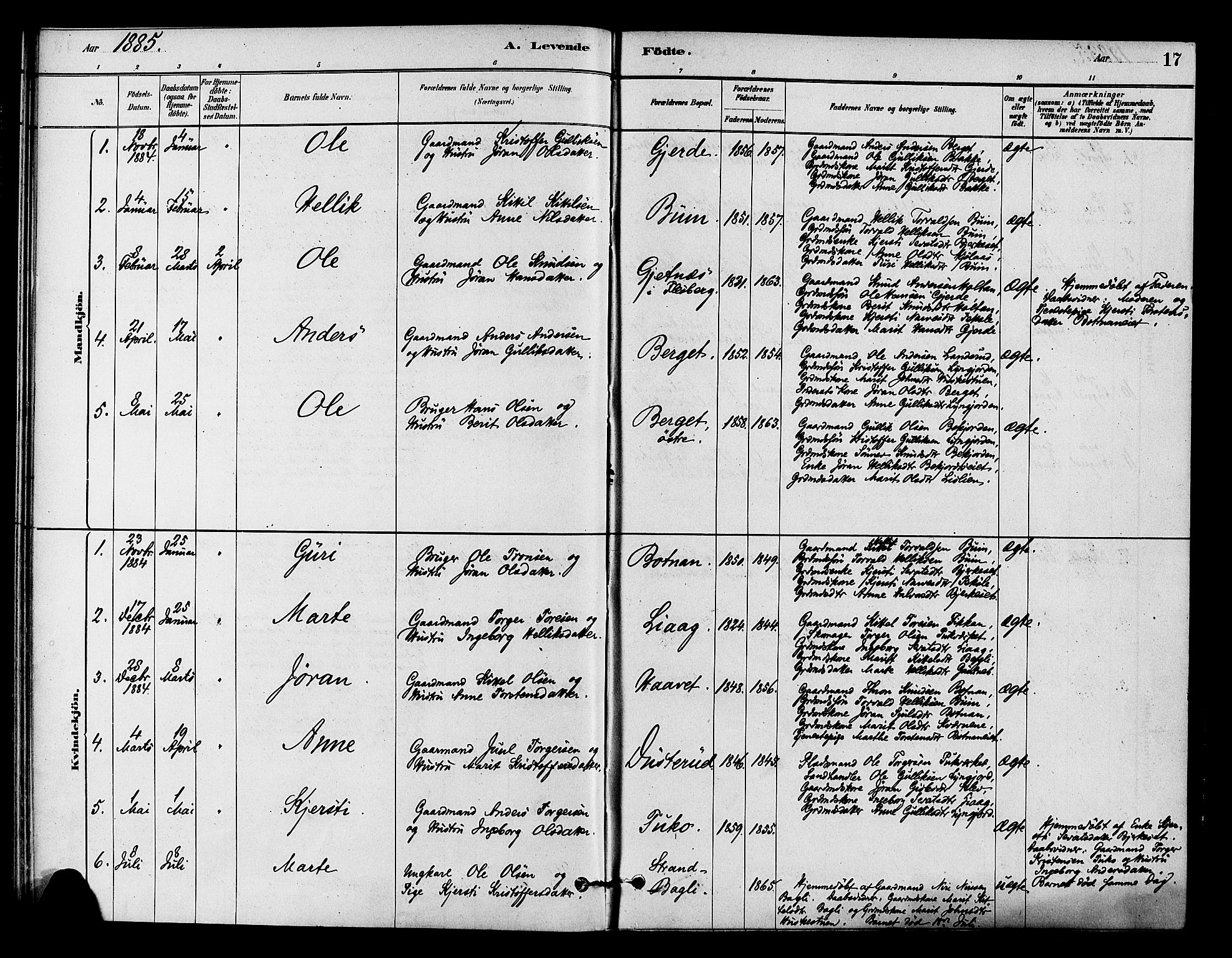 Flesberg kirkebøker, AV/SAKO-A-18/F/Fc/L0001: Parish register (official) no. III 1, 1879-1905, p. 17