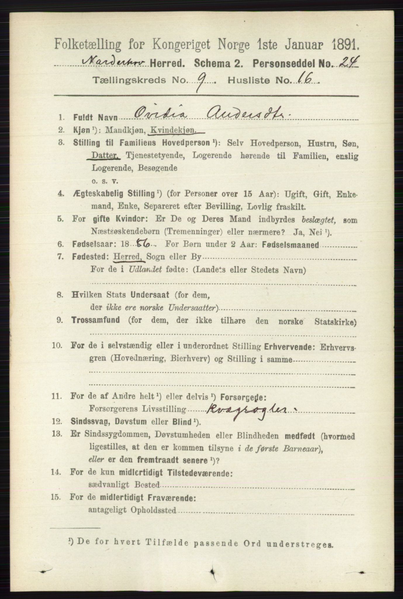 RA, 1891 census for 0613 Norderhov, 1891, p. 6709