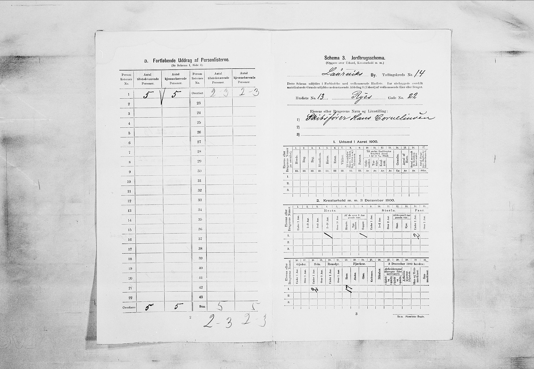 RA, 1900 census for Larvik, 1900, p. 1399
