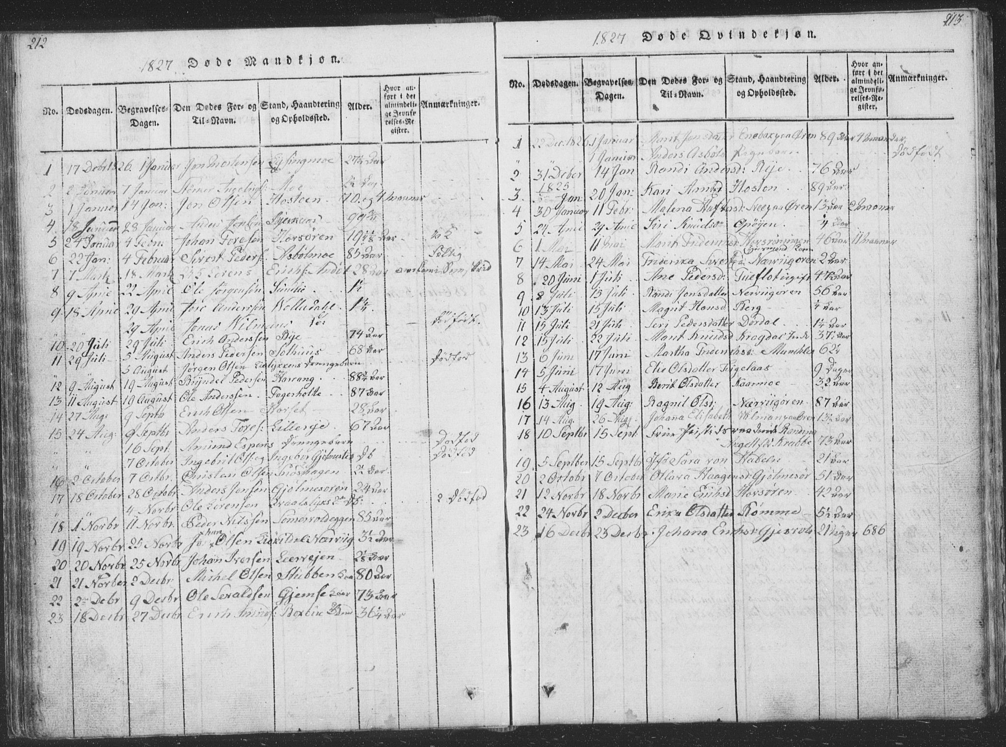 Ministerialprotokoller, klokkerbøker og fødselsregistre - Sør-Trøndelag, SAT/A-1456/668/L0816: Parish register (copy) no. 668C05, 1816-1893, p. 212-213