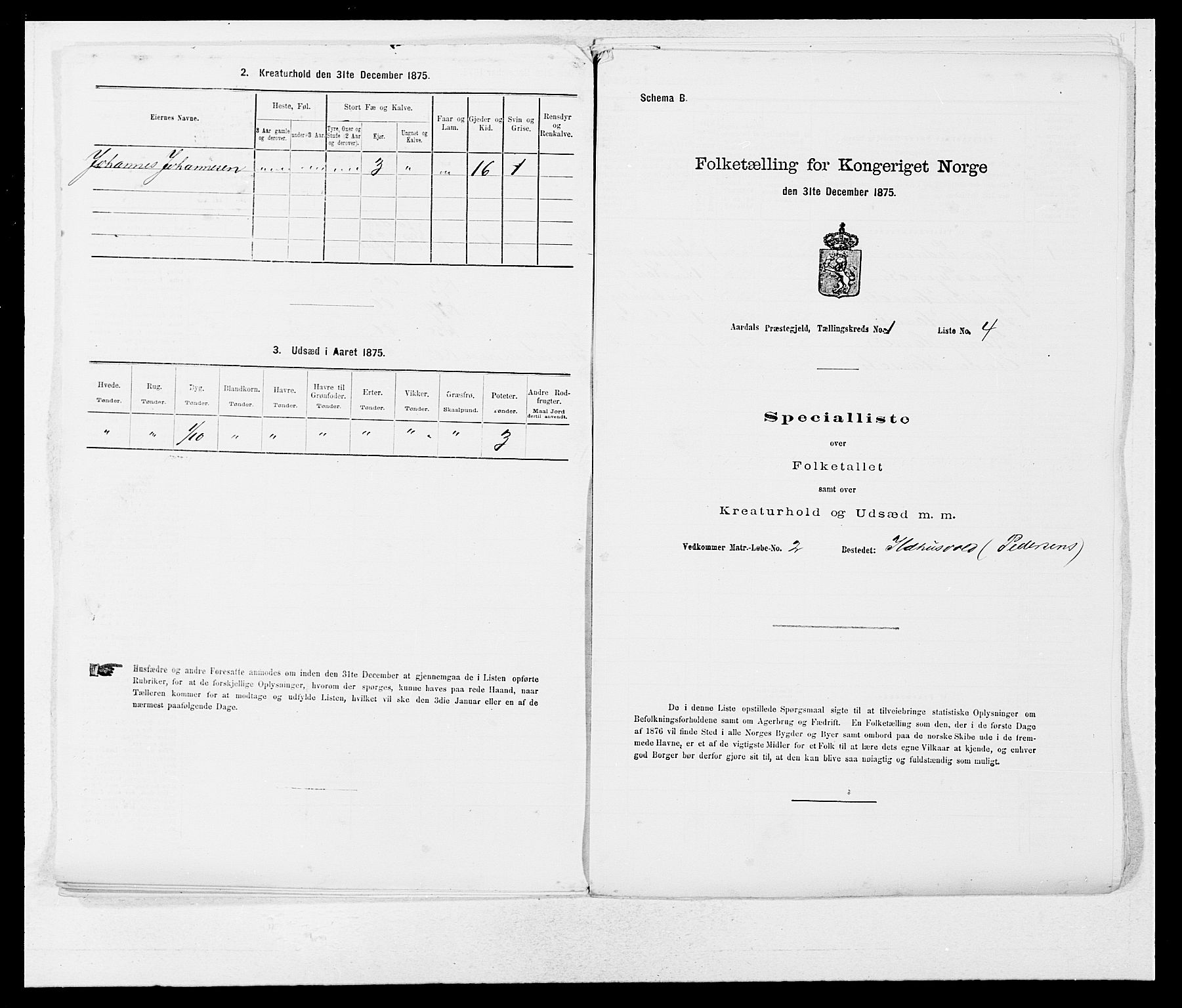 SAB, 1875 census for 1424P Årdal, 1875, p. 19