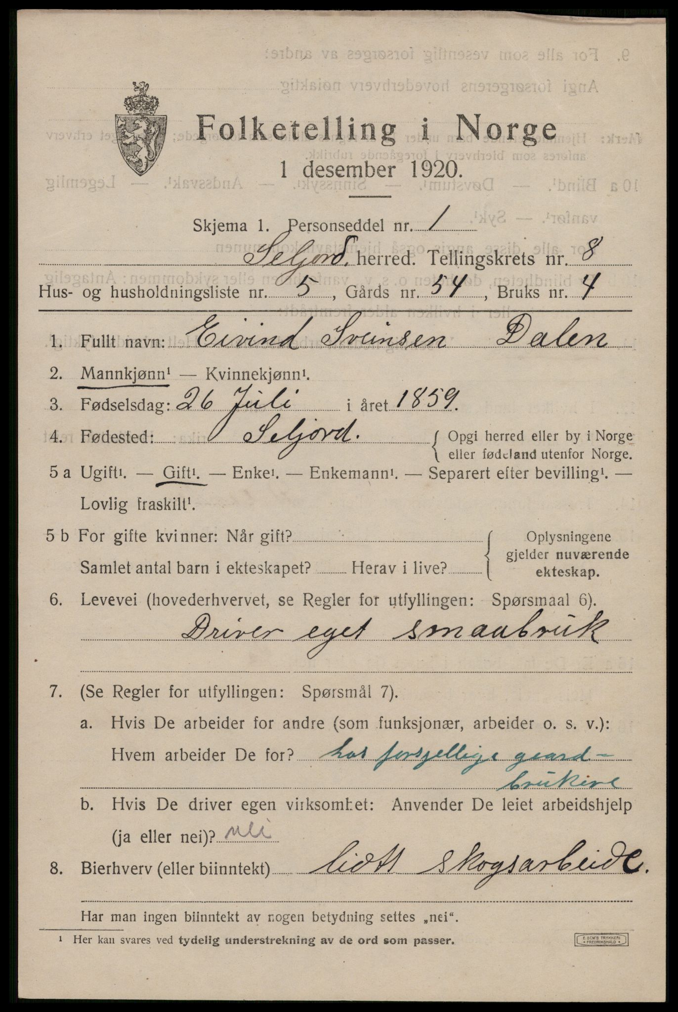 SAKO, 1920 census for Seljord, 1920, p. 3960