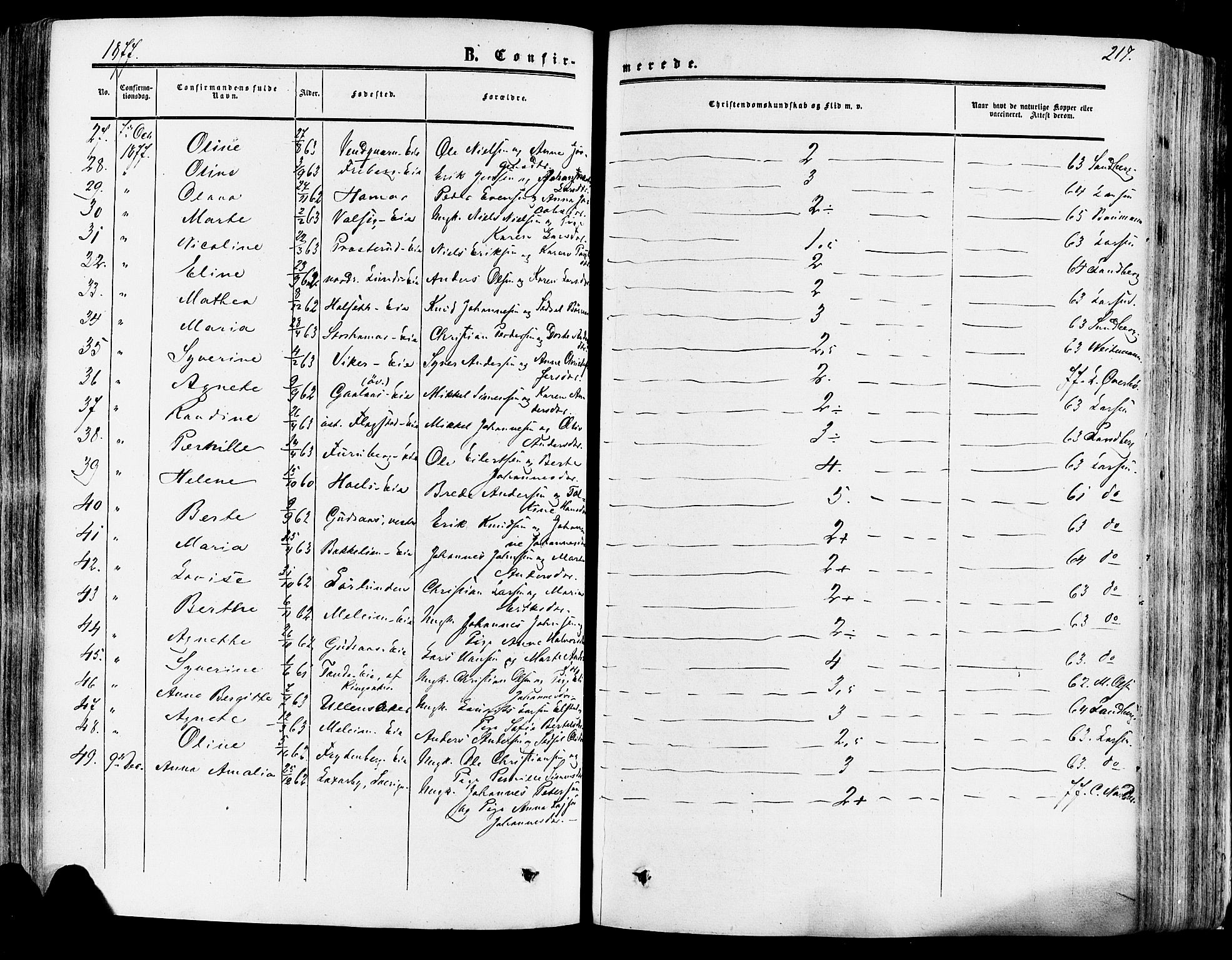 Vang prestekontor, Hedmark, AV/SAH-PREST-008/H/Ha/Haa/L0013: Parish register (official) no. 13, 1855-1879, p. 217