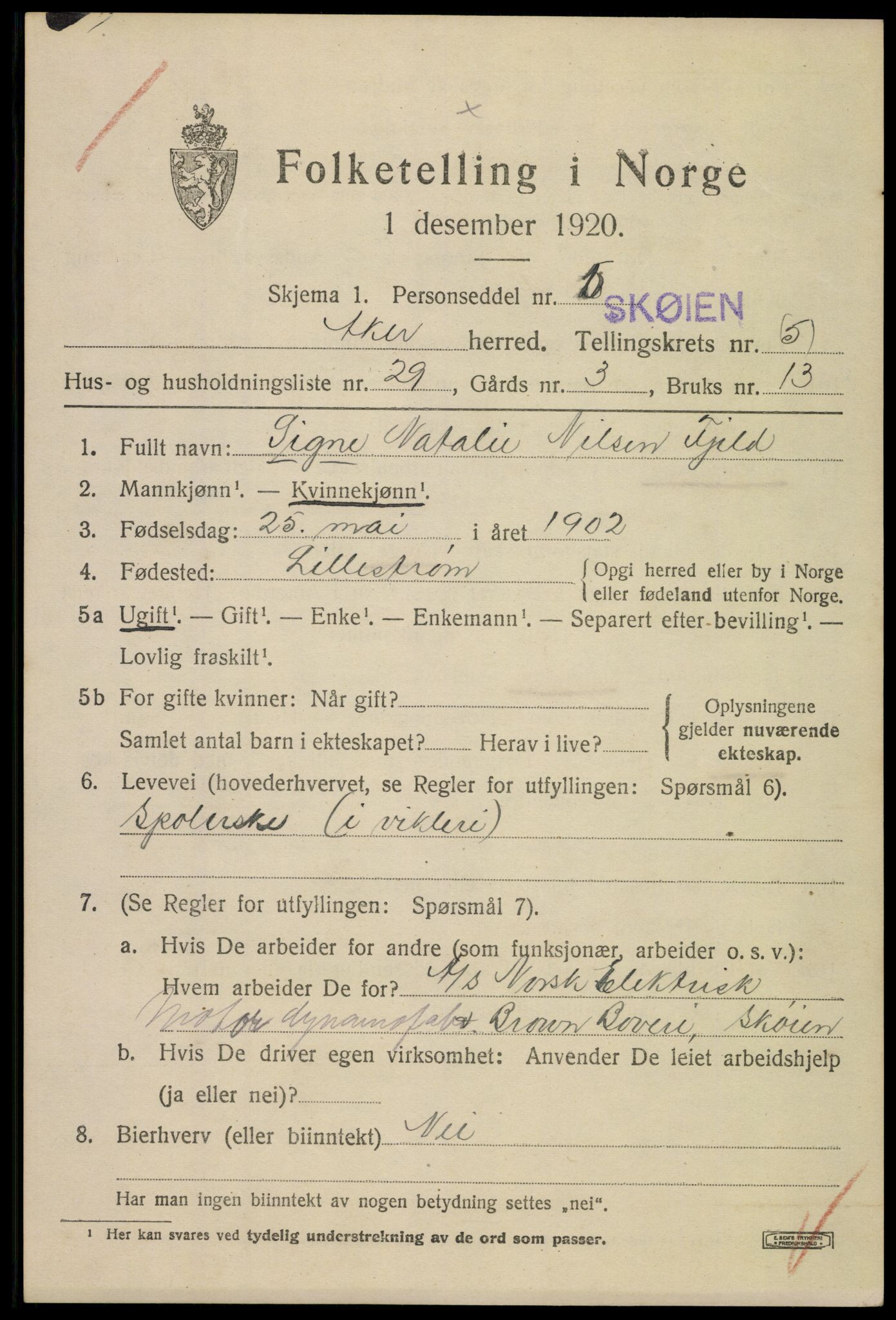 SAO, 1920 census for Aker, 1920, p. 31252