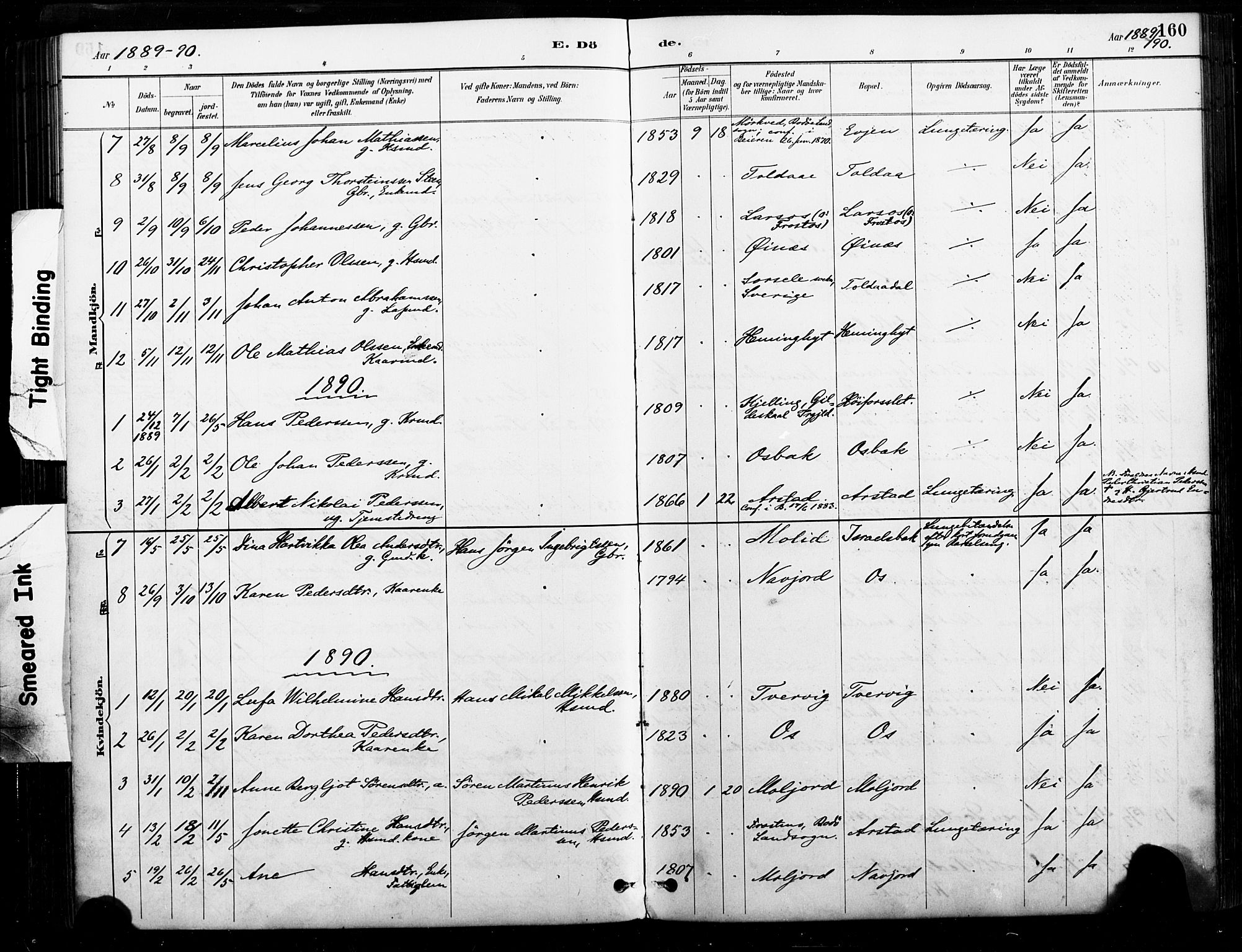 Ministerialprotokoller, klokkerbøker og fødselsregistre - Nordland, AV/SAT-A-1459/846/L0646: Parish register (official) no. 846A04, 1887-1901, p. 160