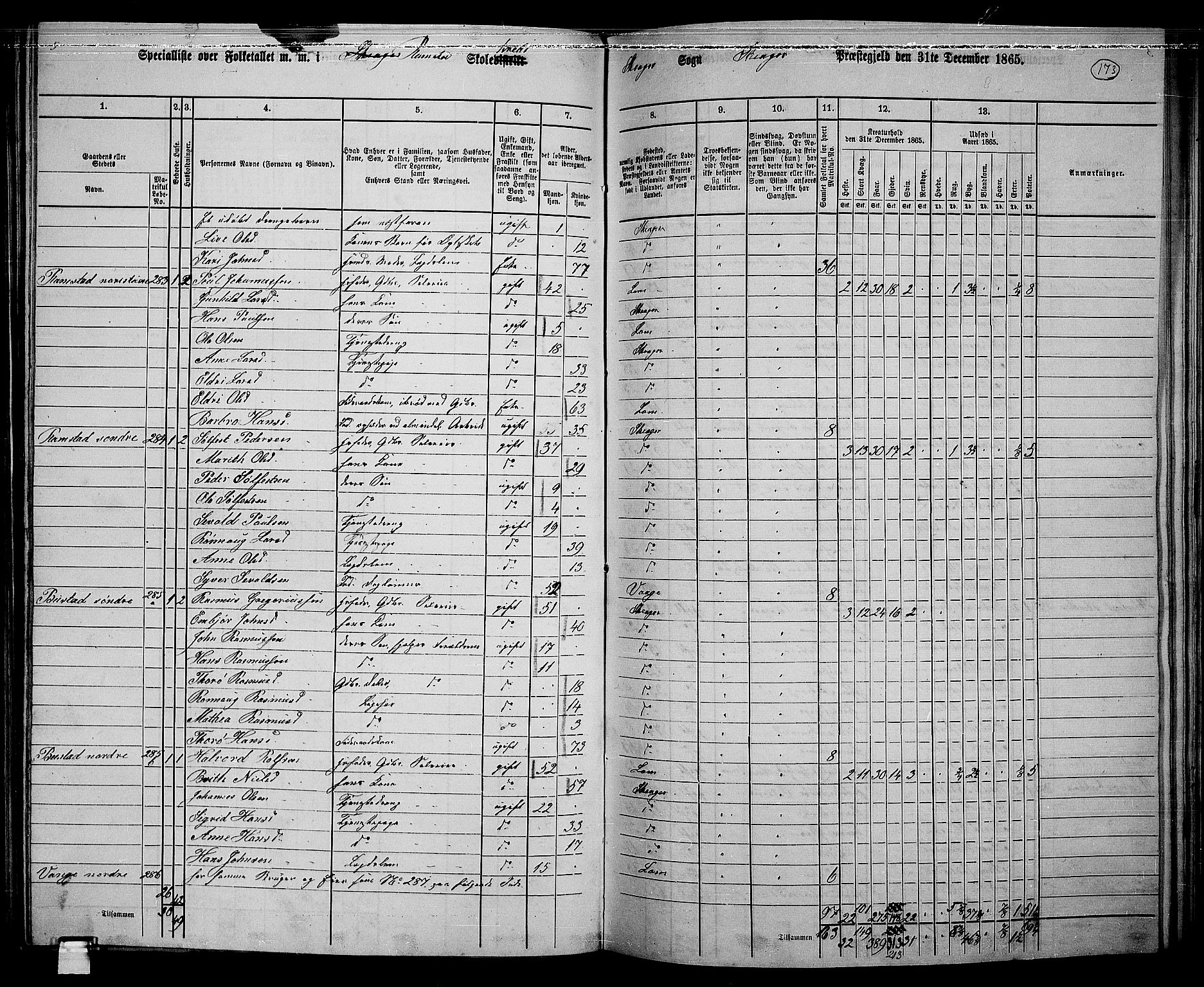 RA, 1865 census for Skjåk, 1865, p. 31