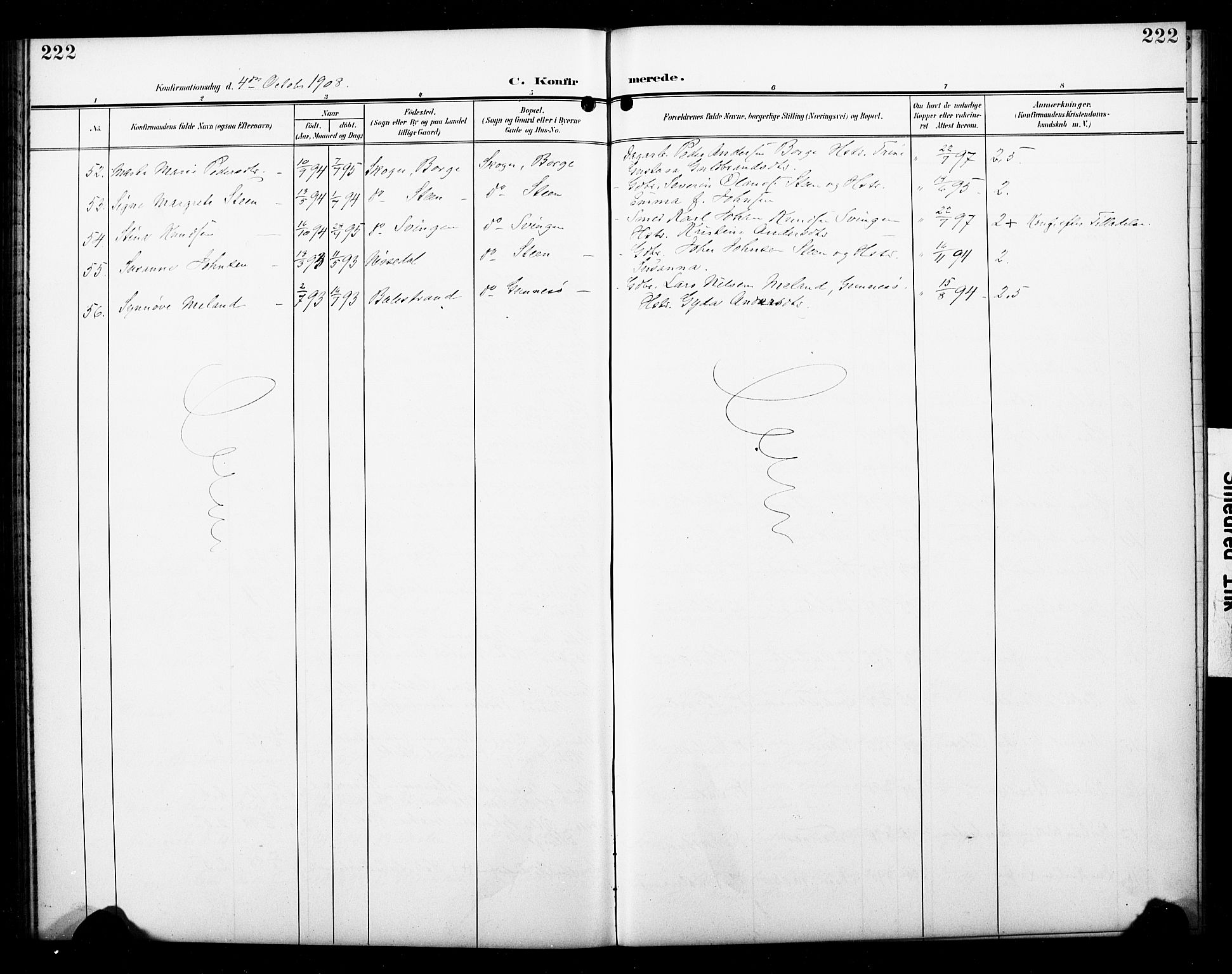 Skoger kirkebøker, SAKO/A-59/G/Ga/L0003: Parish register (copy) no. I 3, 1900-1927, p. 222