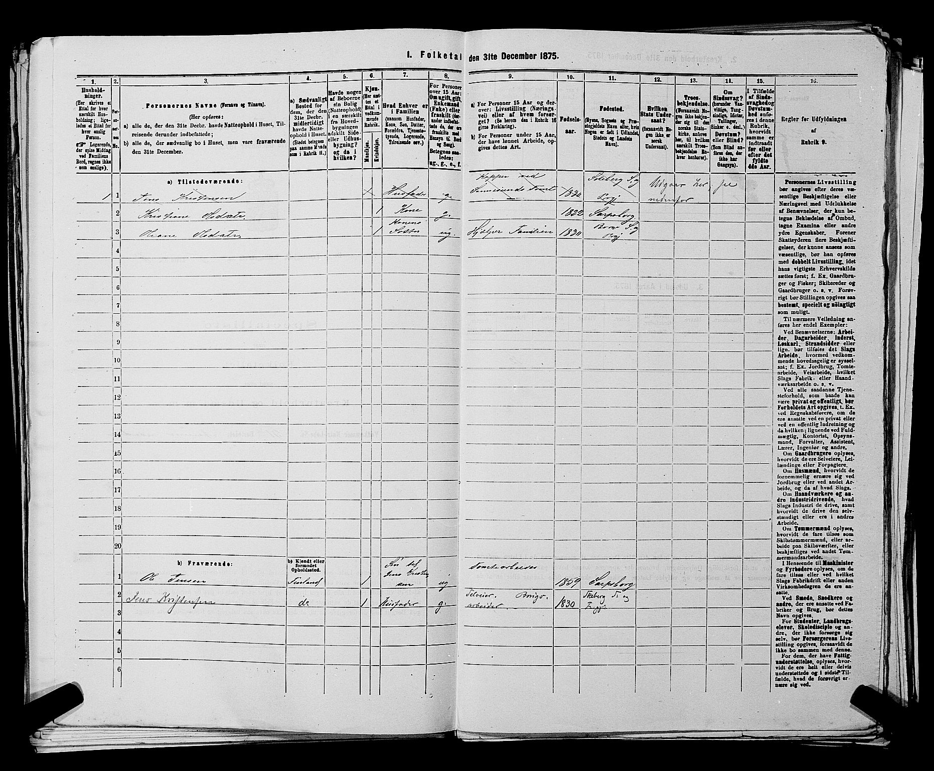 RA, 1875 census for 0113P Borge, 1875, p. 793