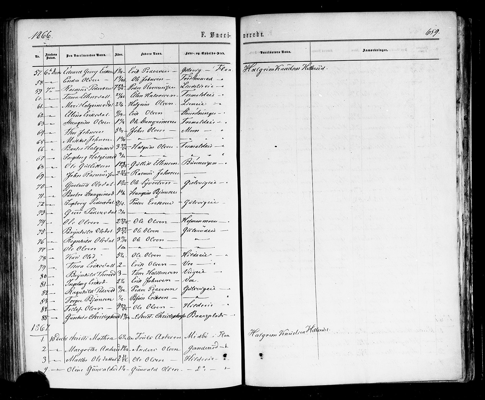 Nes kirkebøker, SAKO/A-236/F/Fa/L0010: Parish register (official) no. 10, 1864-1880, p. 659